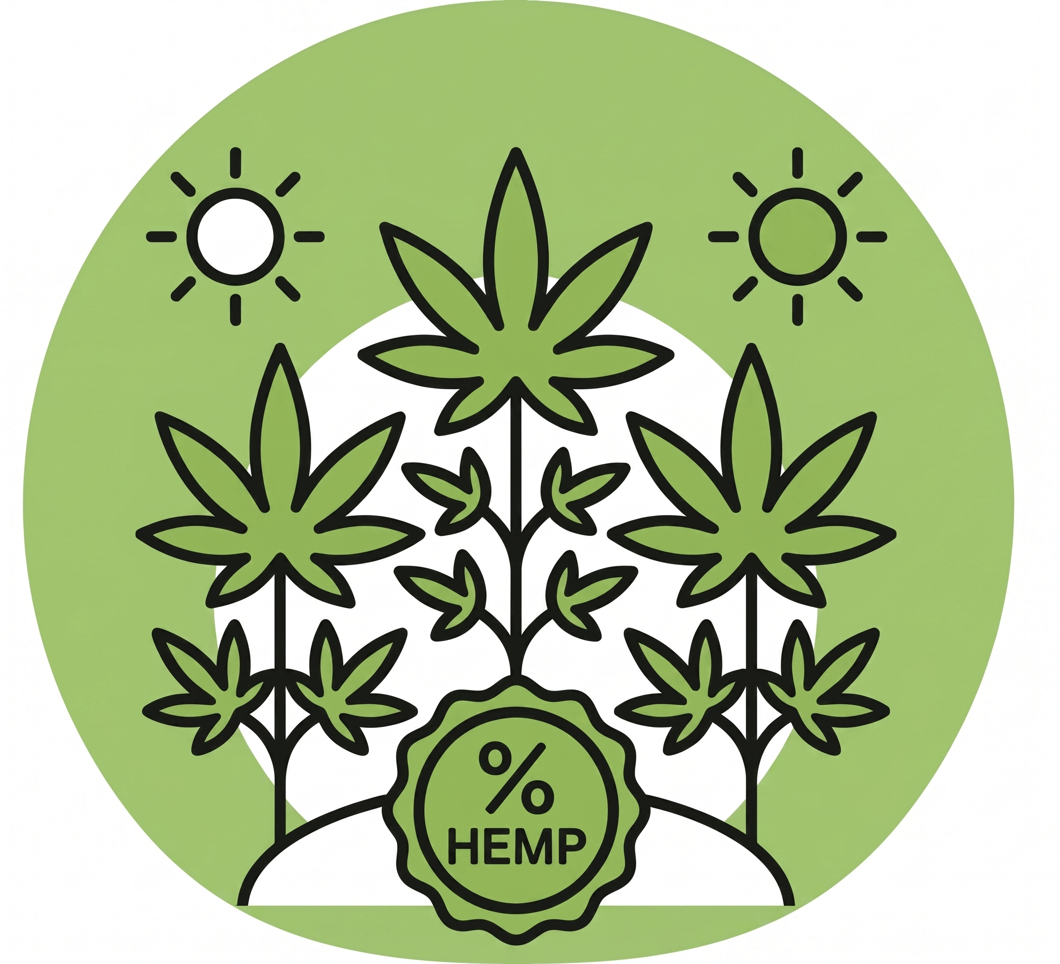 Texas Hemp Law 2026: The Survival Guide for High-Risk Merchants