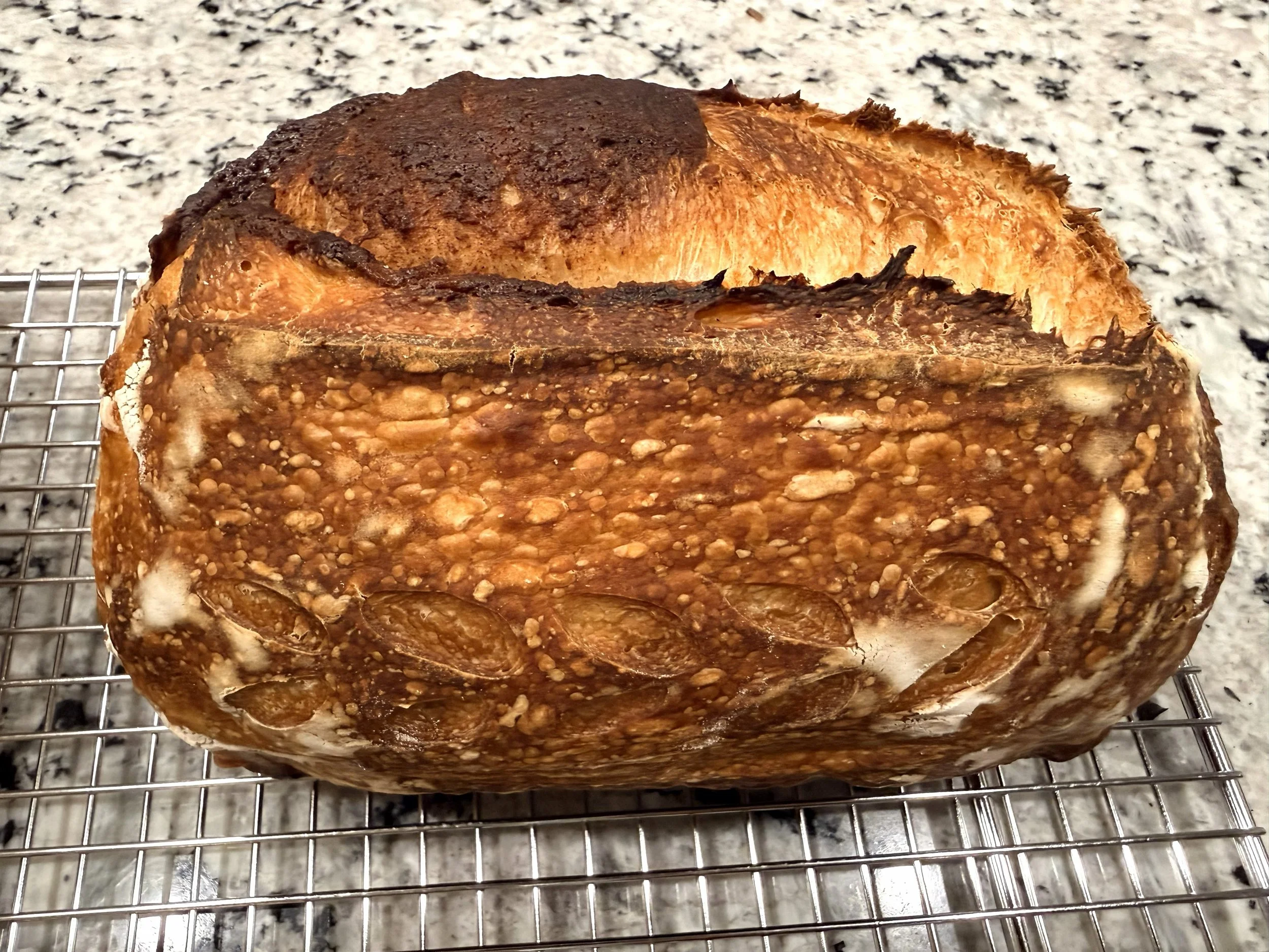 Cinnamon Sugar Sourdough