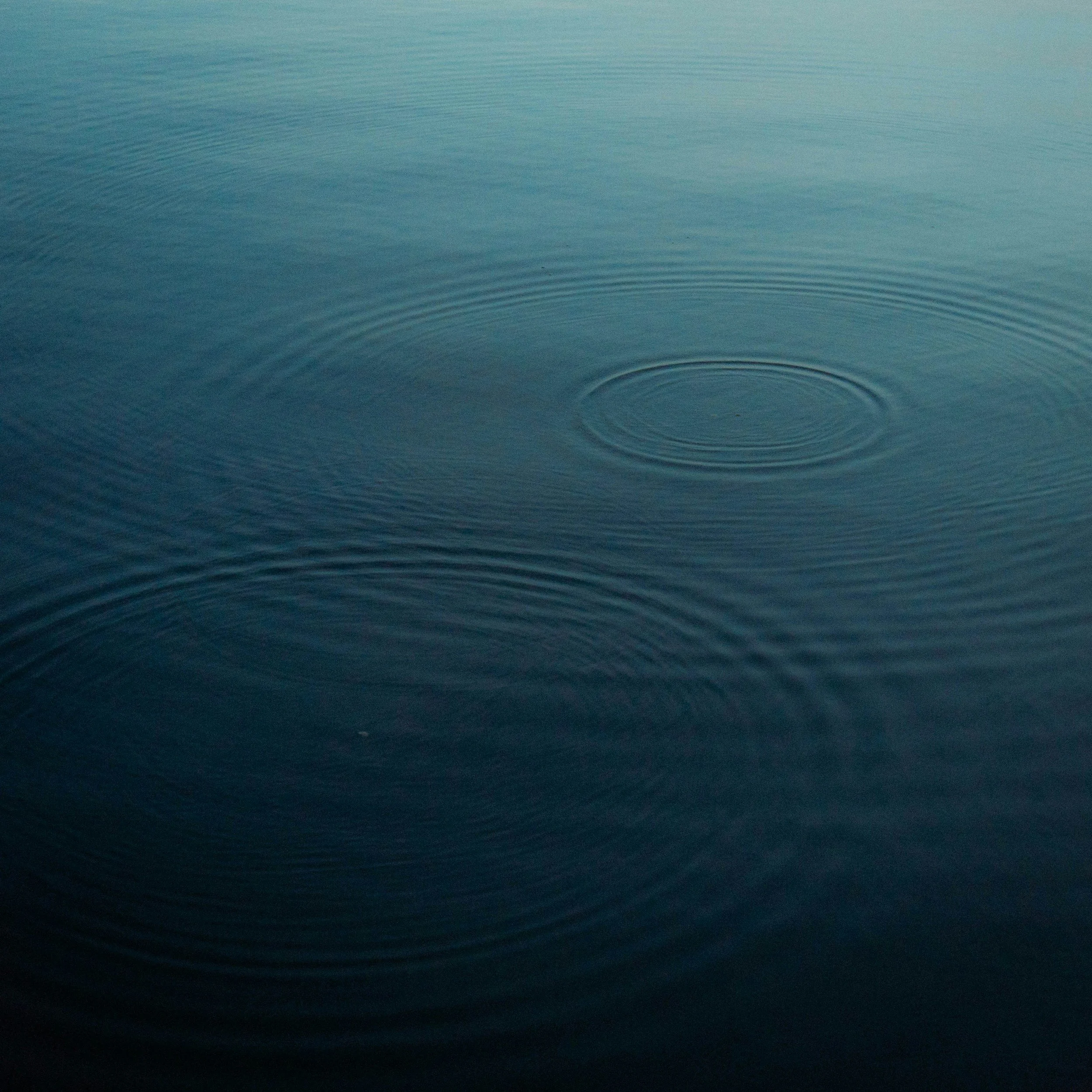 Drips of water in a lake