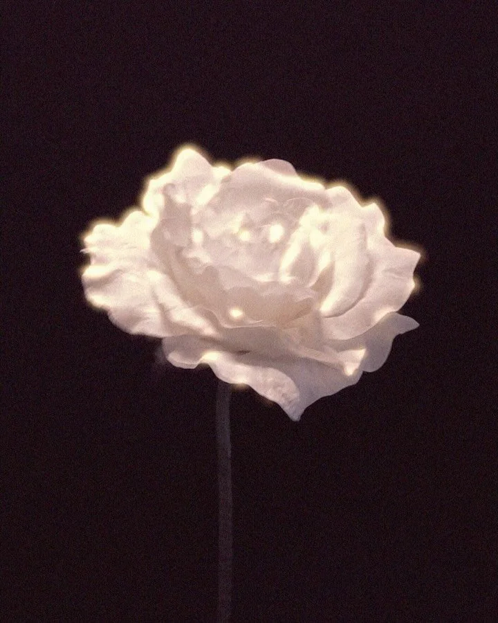 The absence of applause does not mean the absence of impact. 💙