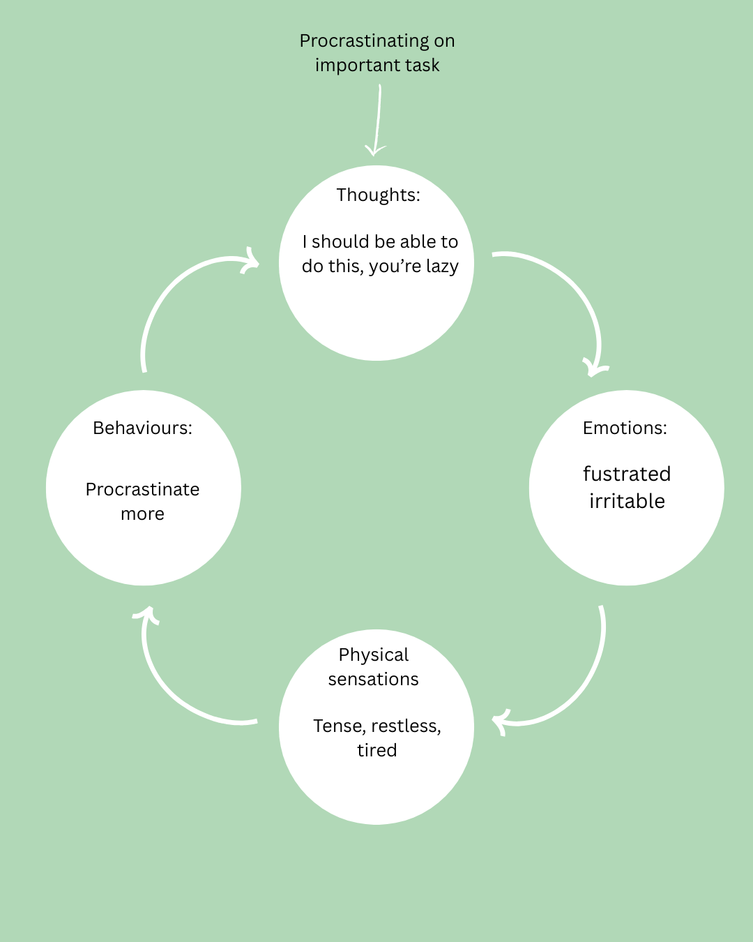 Flowchart illustrating the cycle of procrastination, showing thoughts, emotions, physical sensations, behaviors, and the cycle repeating.