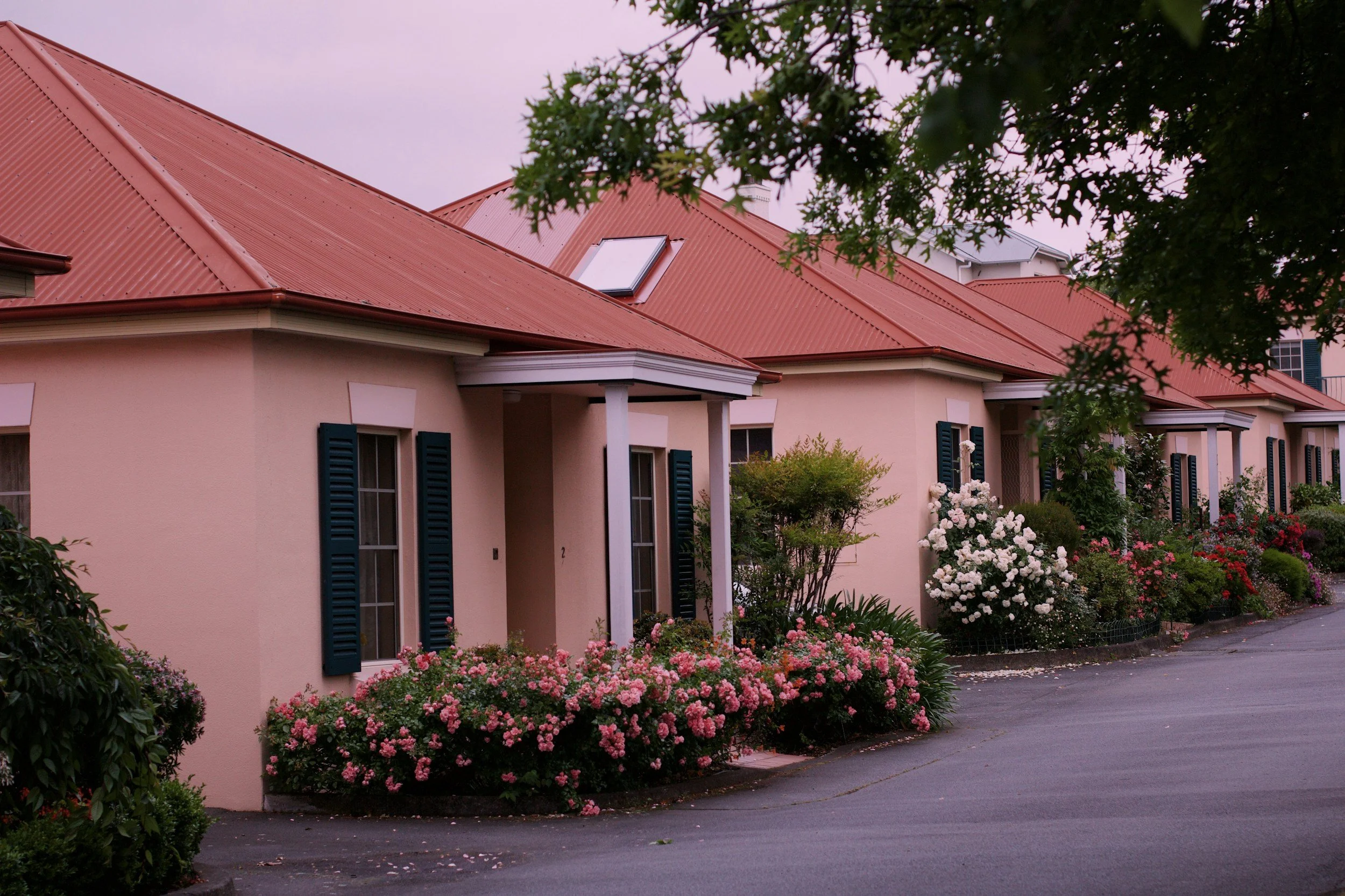 A row of pink residential buildings with red metal roofs. The buildings have dark green shutters and small front porches. The front yards are landscaped with pink and white flowers, bushes, and plants. A sidewalk runs along the front of the houses, and there is a large tree with green foliage partially obscuring the buildings.