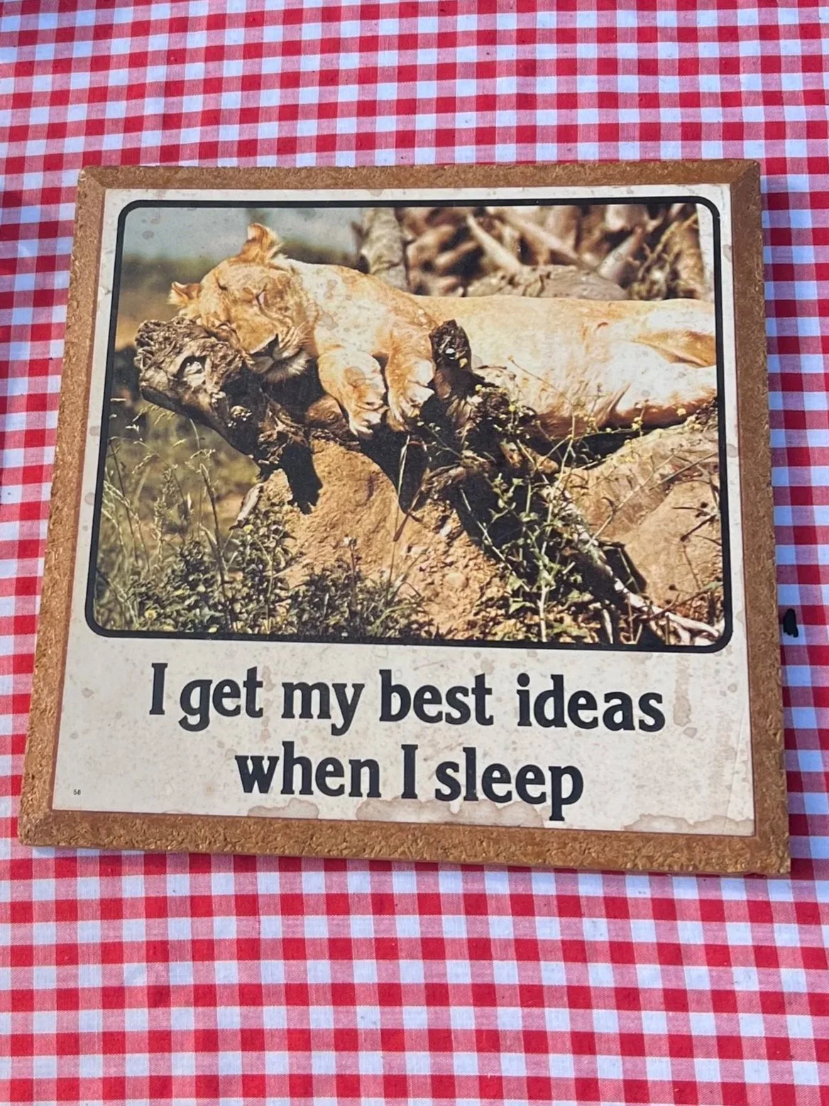 A sign with a picture of a lioness resting on a log and the text 'I get my best ideas when I sleep' on it, placed on a red and white checkered surface.