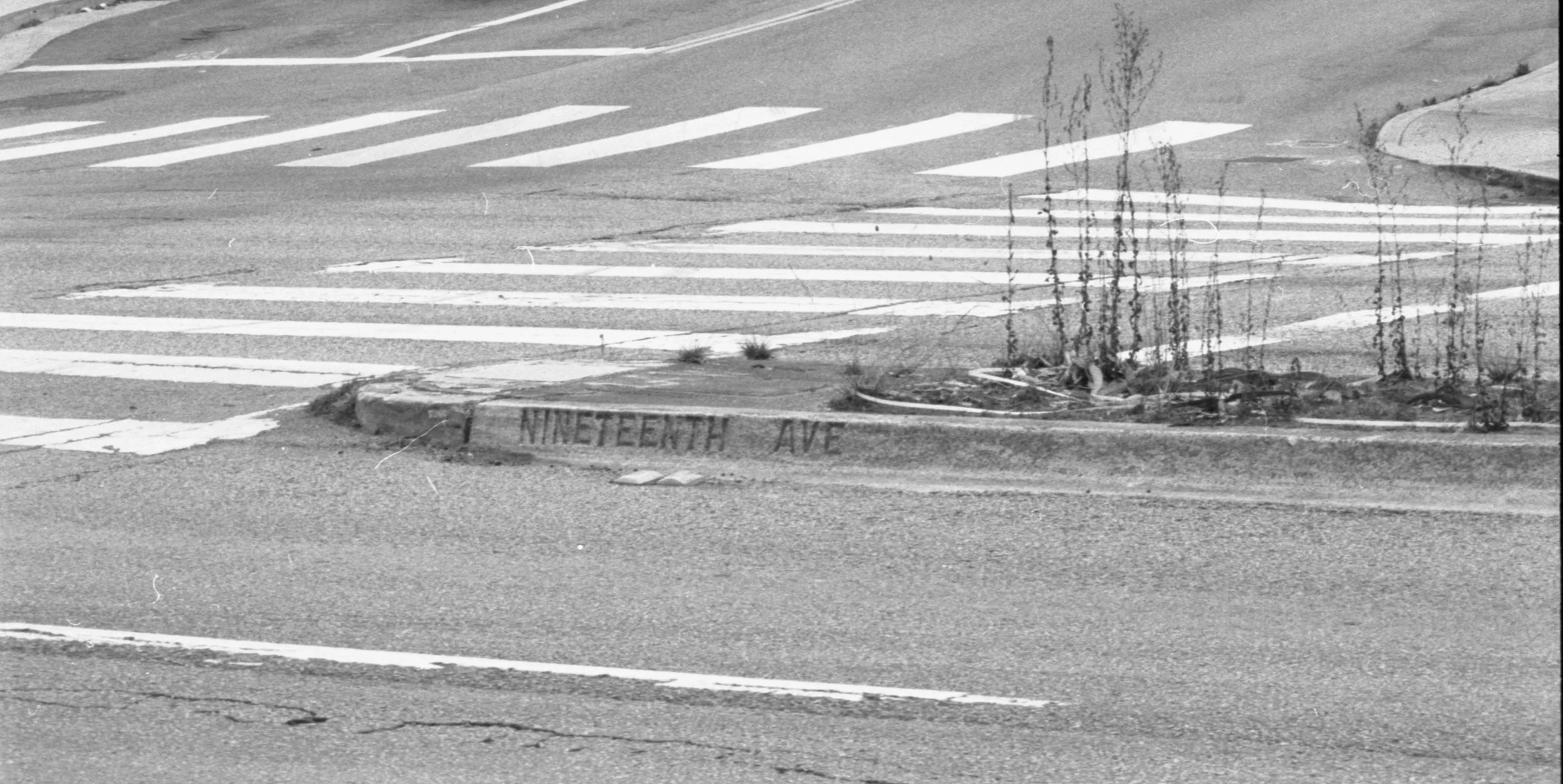 Nineteenth Ave (2024)
35mm Film