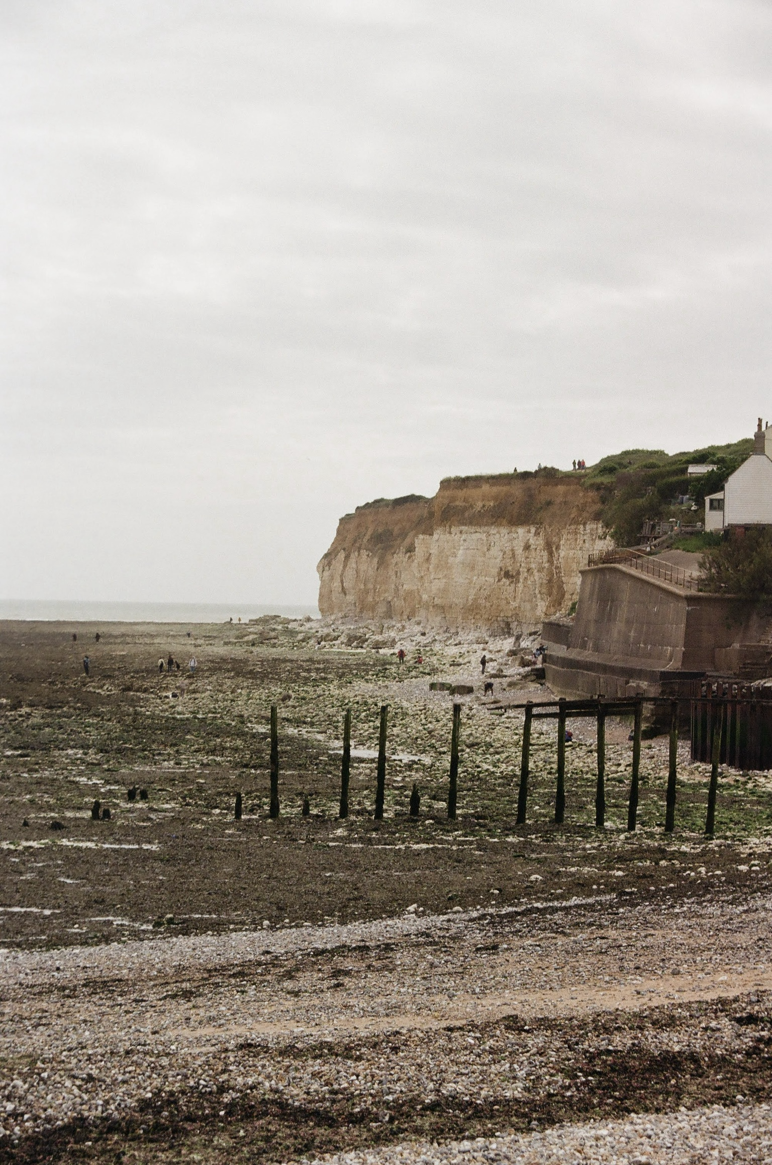 A view of a rocky beach with large rocks and pebbles, a boardwalk with black posts in the foreground, a white house on the right, and steep cliffs with greenery in the background under a cloudy sky.