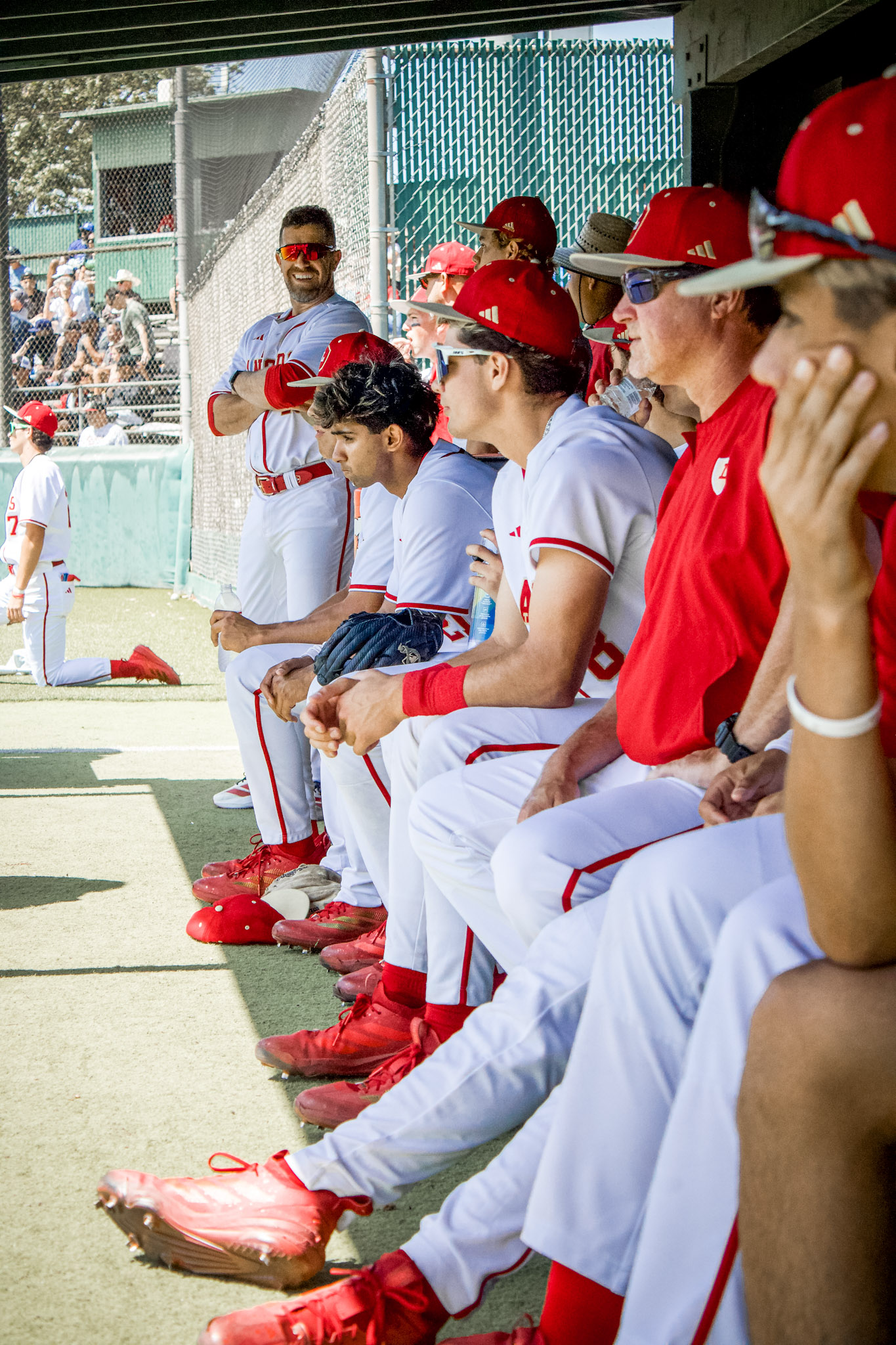 Baseball Highlights