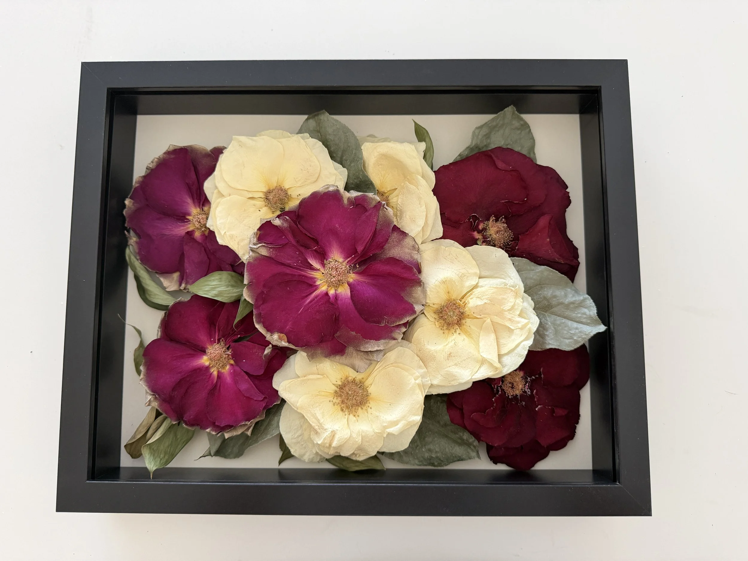 11x14x2 Black Framed Shadowbox