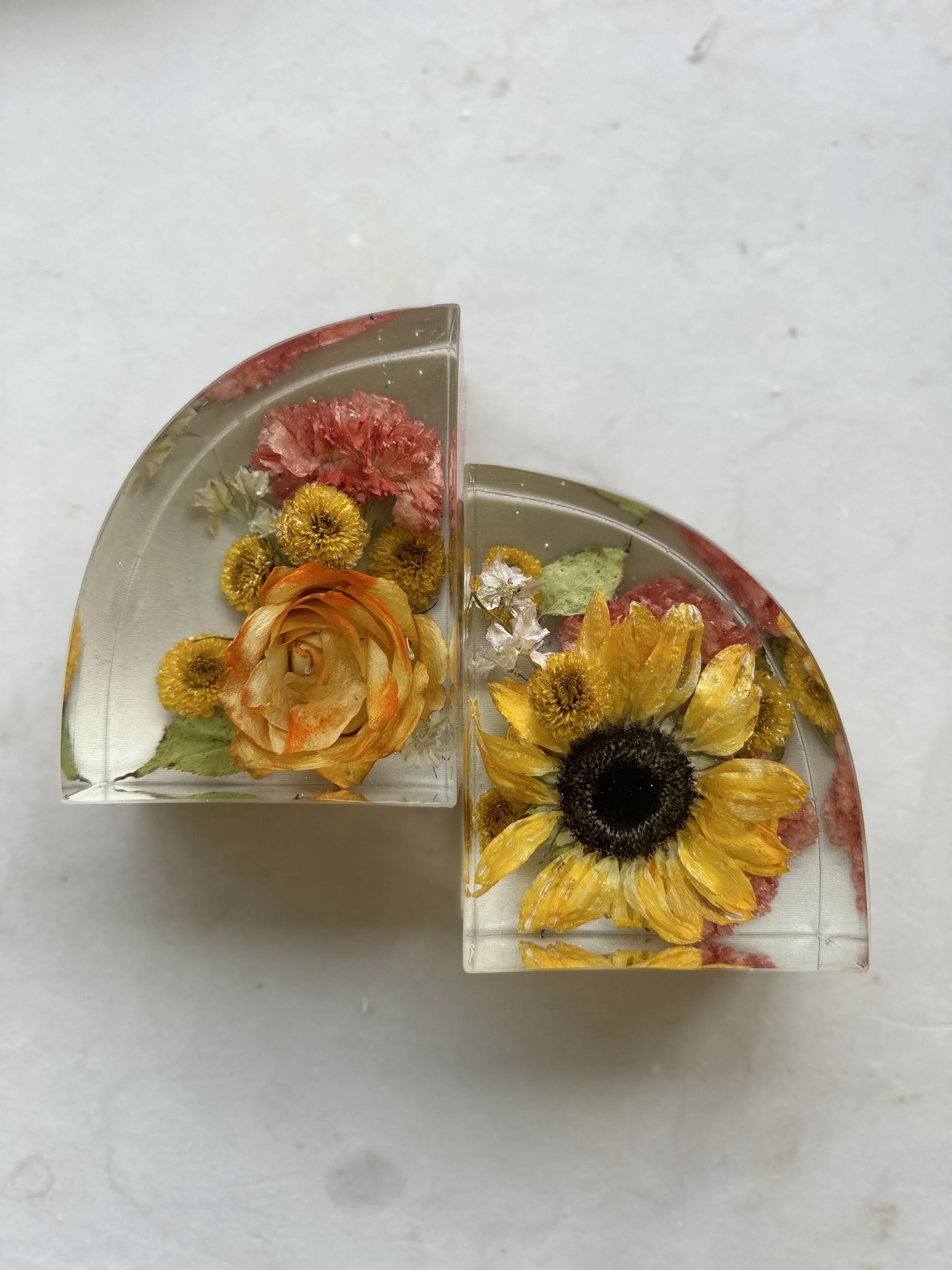 5" Resin Bookends 