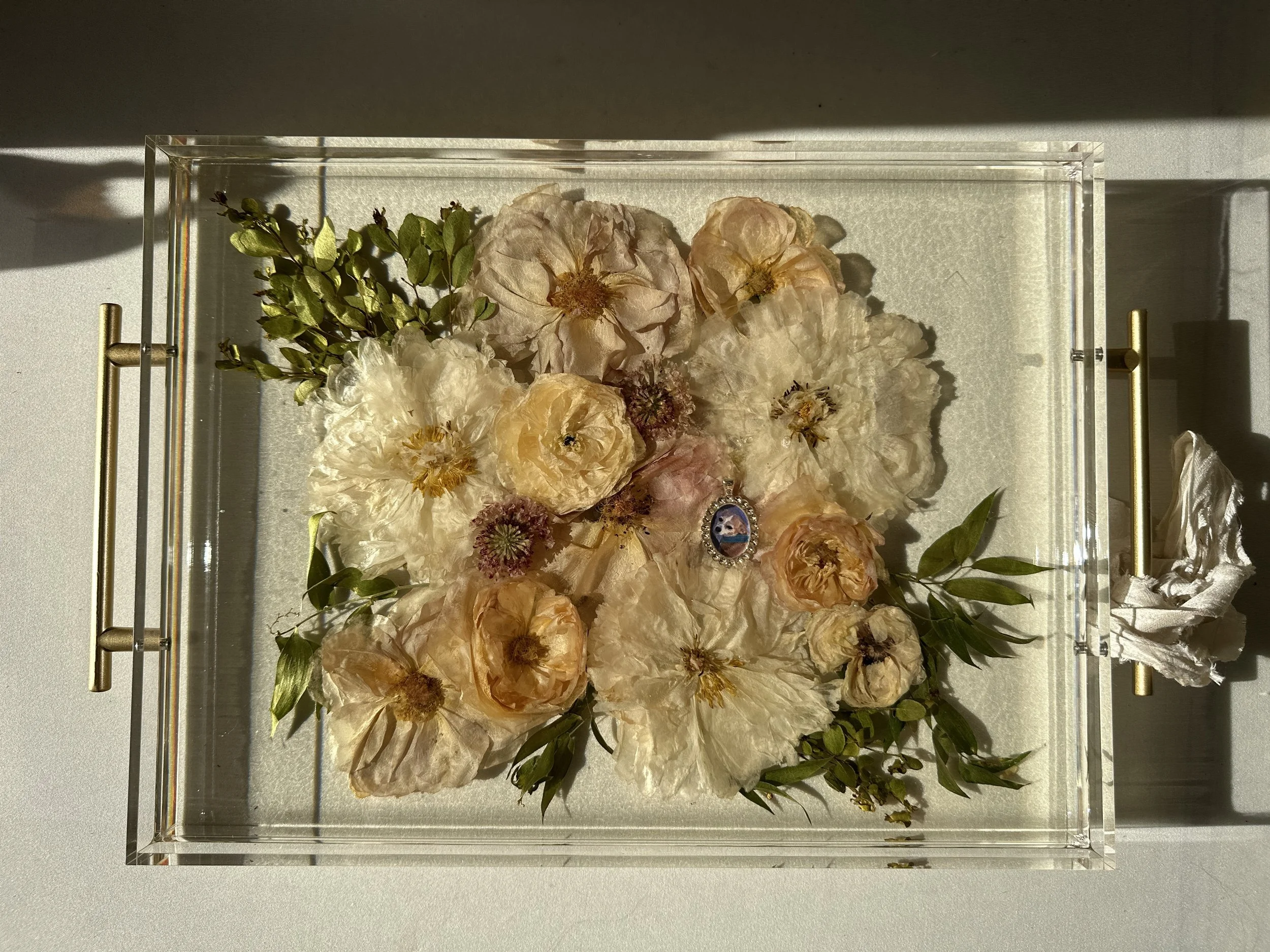 16x12 rectangle, acrylic tray with Gold Handles
