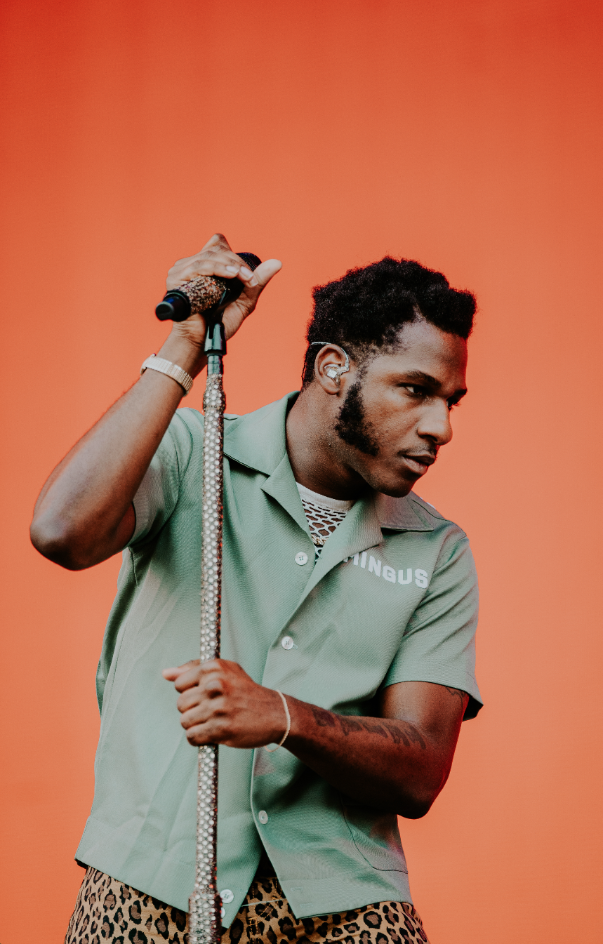 A male singer with short, curly hair and a beard, dressed in a green bowling shirt with 'VINGUS' on it, holding a microphone decorated with rhinestones, against an orange background.