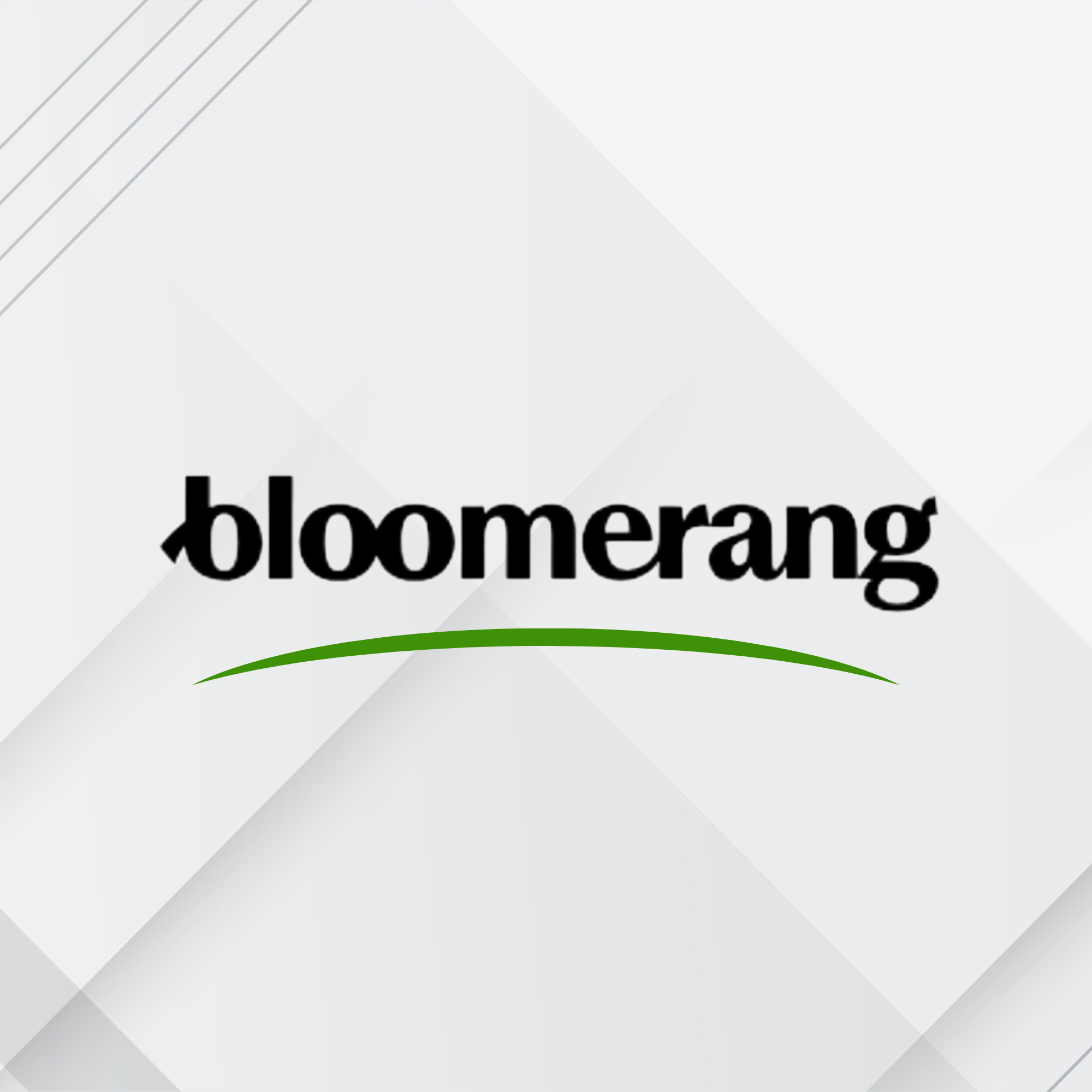 Bloomerang Logo on a textured background