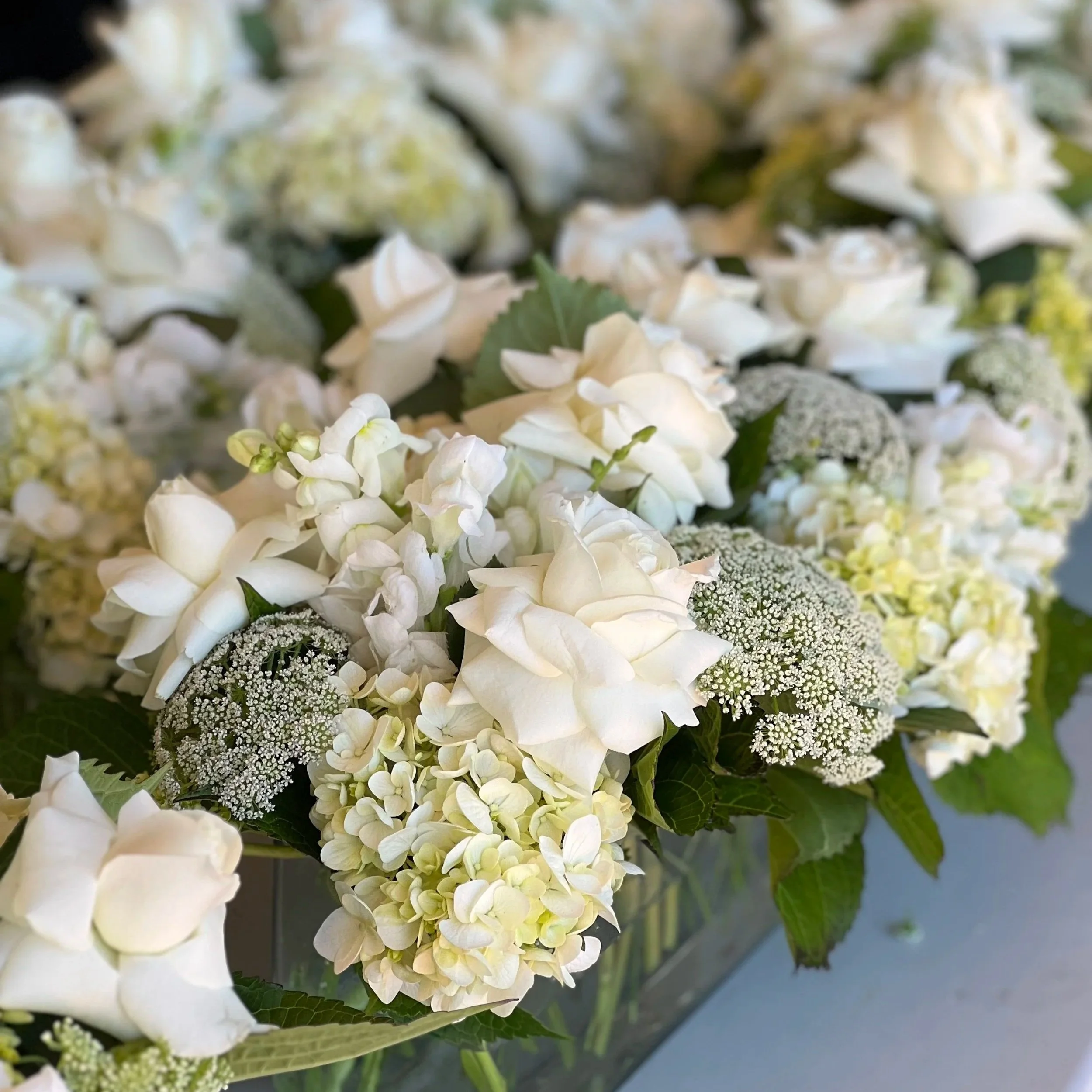 Close-up of a bouquet of white hydrangea flowers with green leaves.