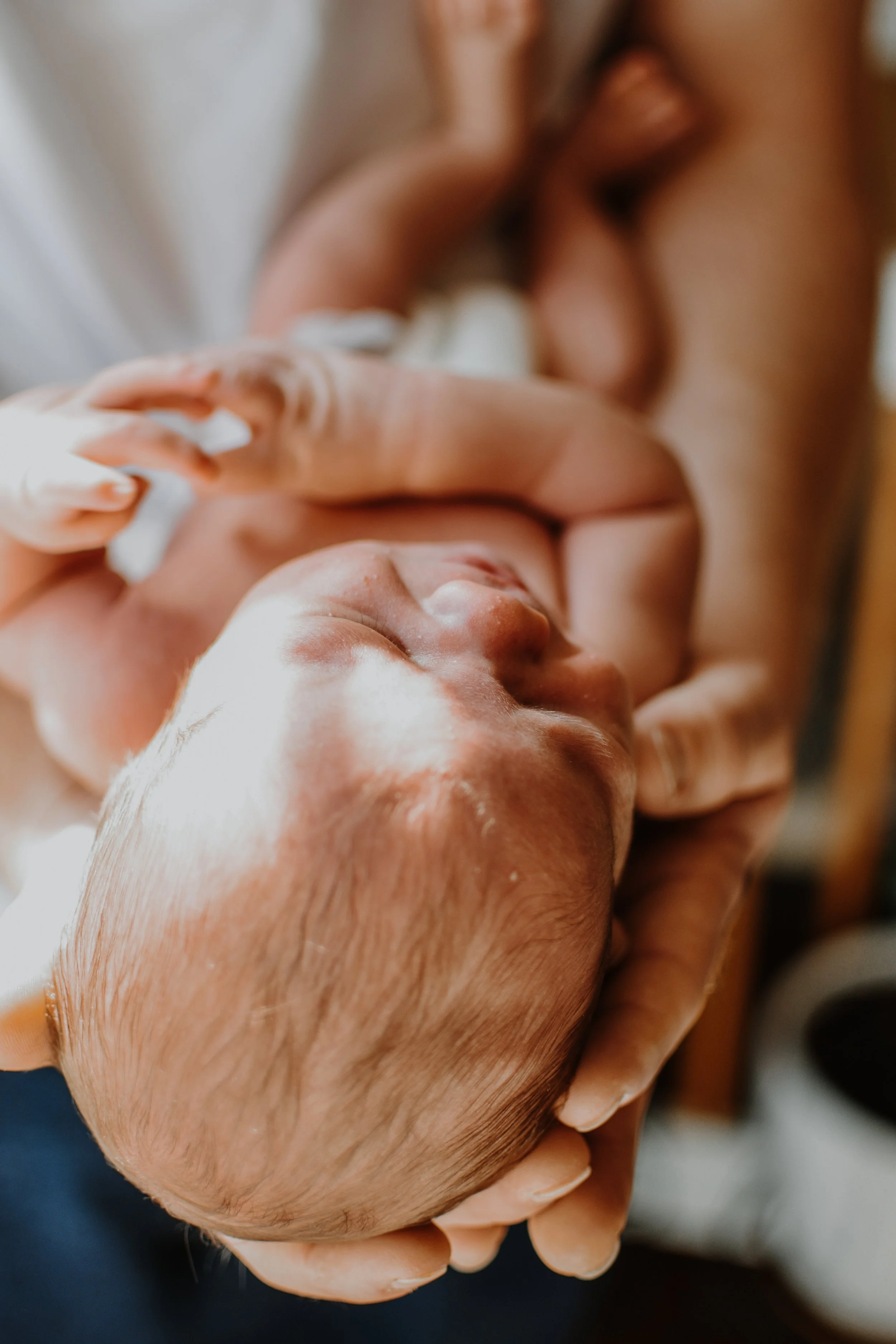 Close-up of a newborn baby being cradled gently in adult hands.
