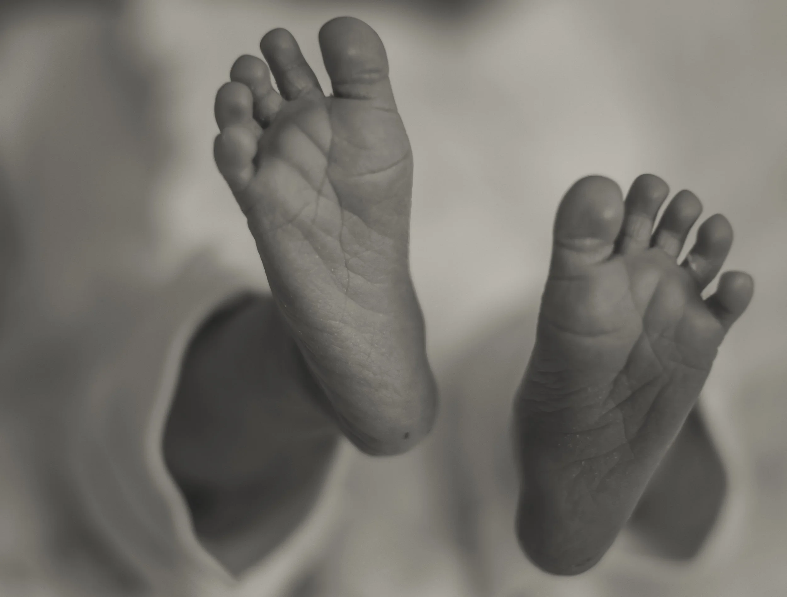 Close-up of the tiny feet of a newborn baby in black and white.