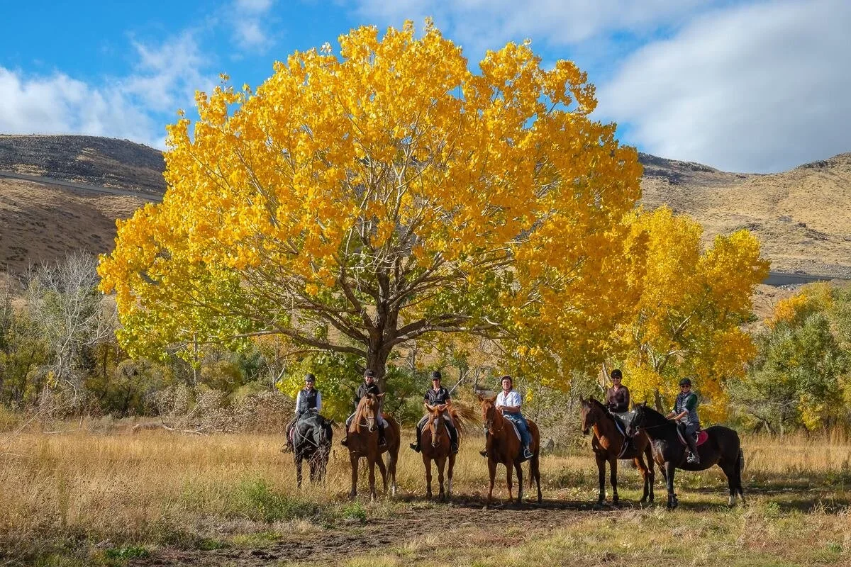 Autumn Adult Camp
