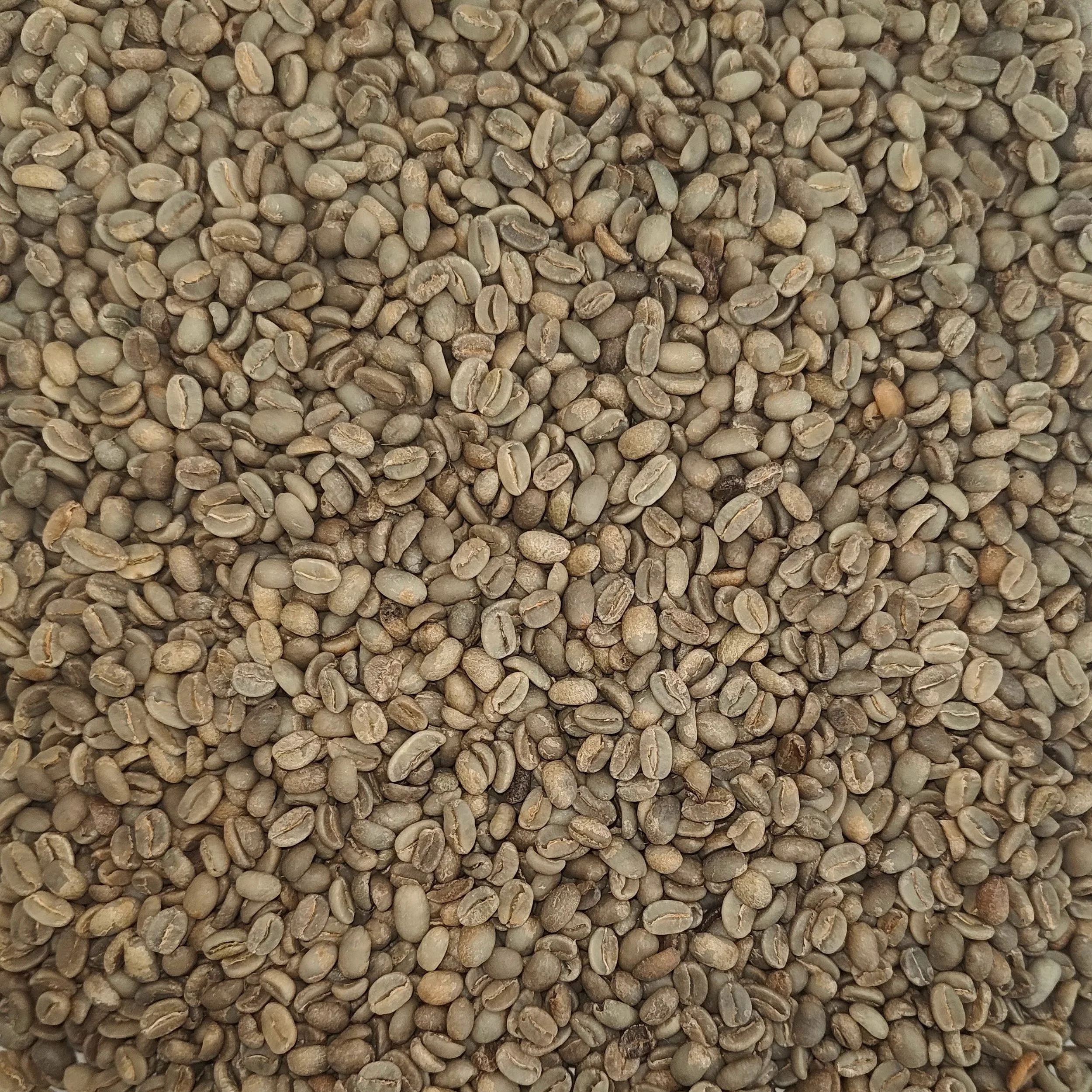 Papua New Guinea B Grade green coffee beans, unroasted, washed process