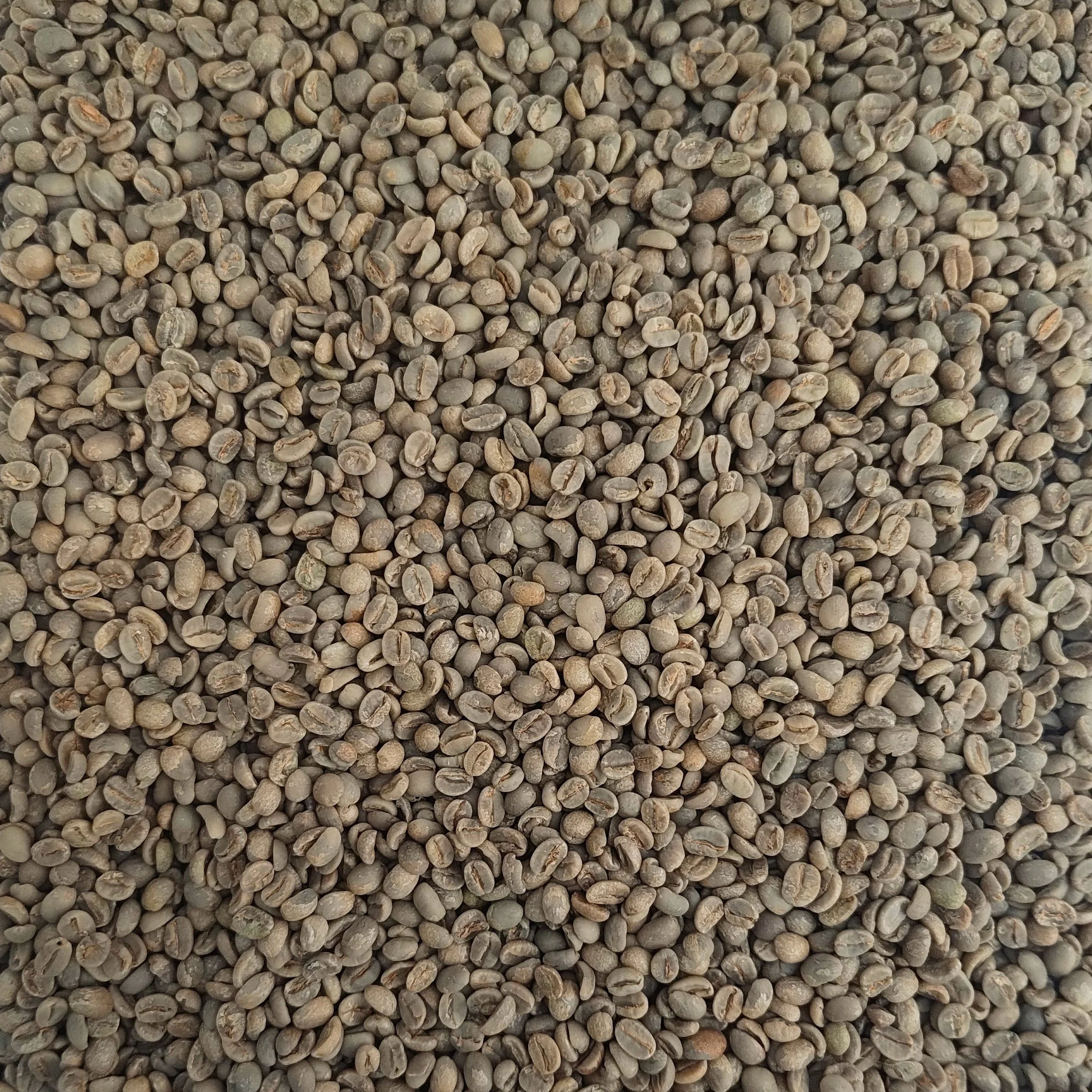 Brazil Capim Seco green coffee beans, unroasted, natural process