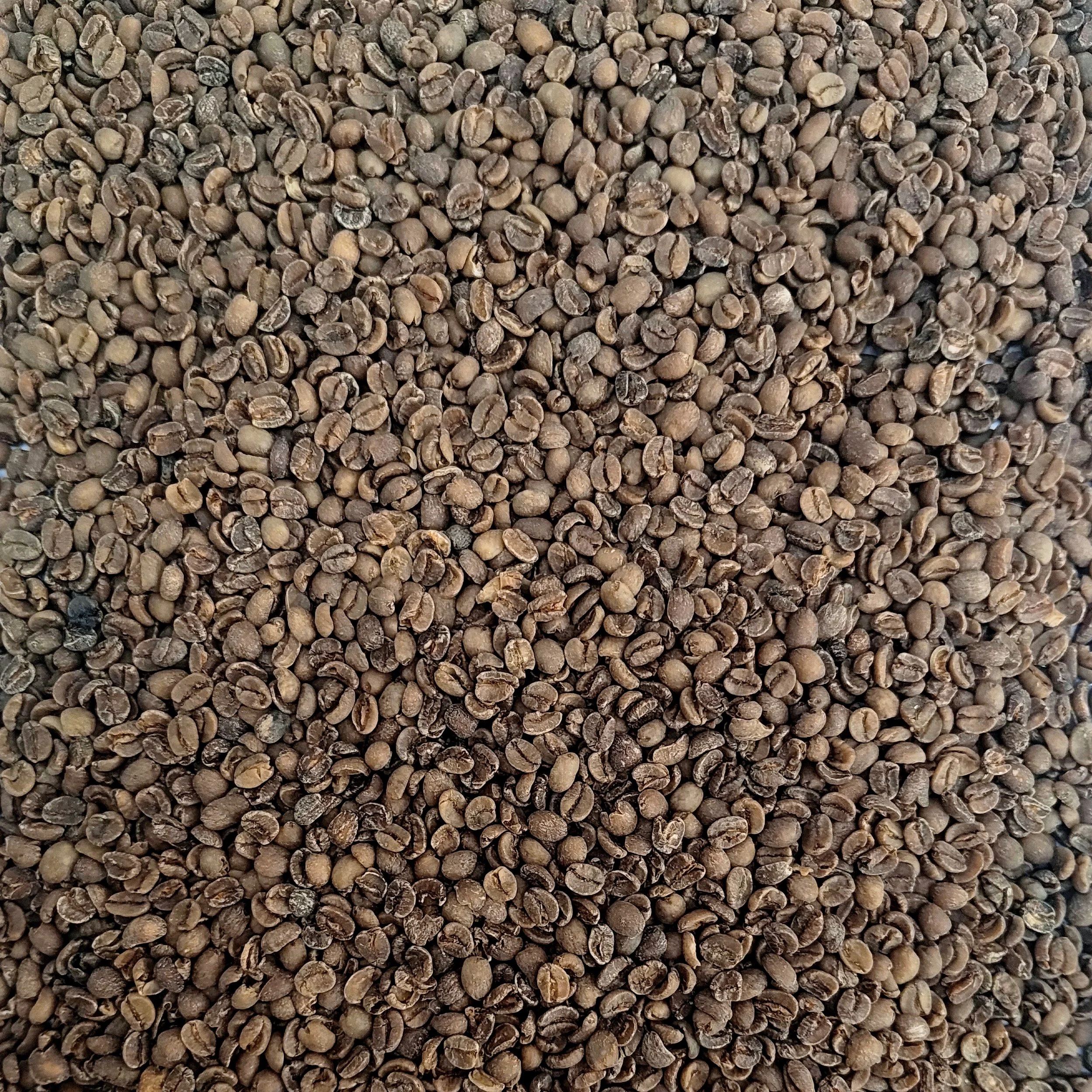 Swiss Water decaffeinated Brazilian green coffee beans, unroasted