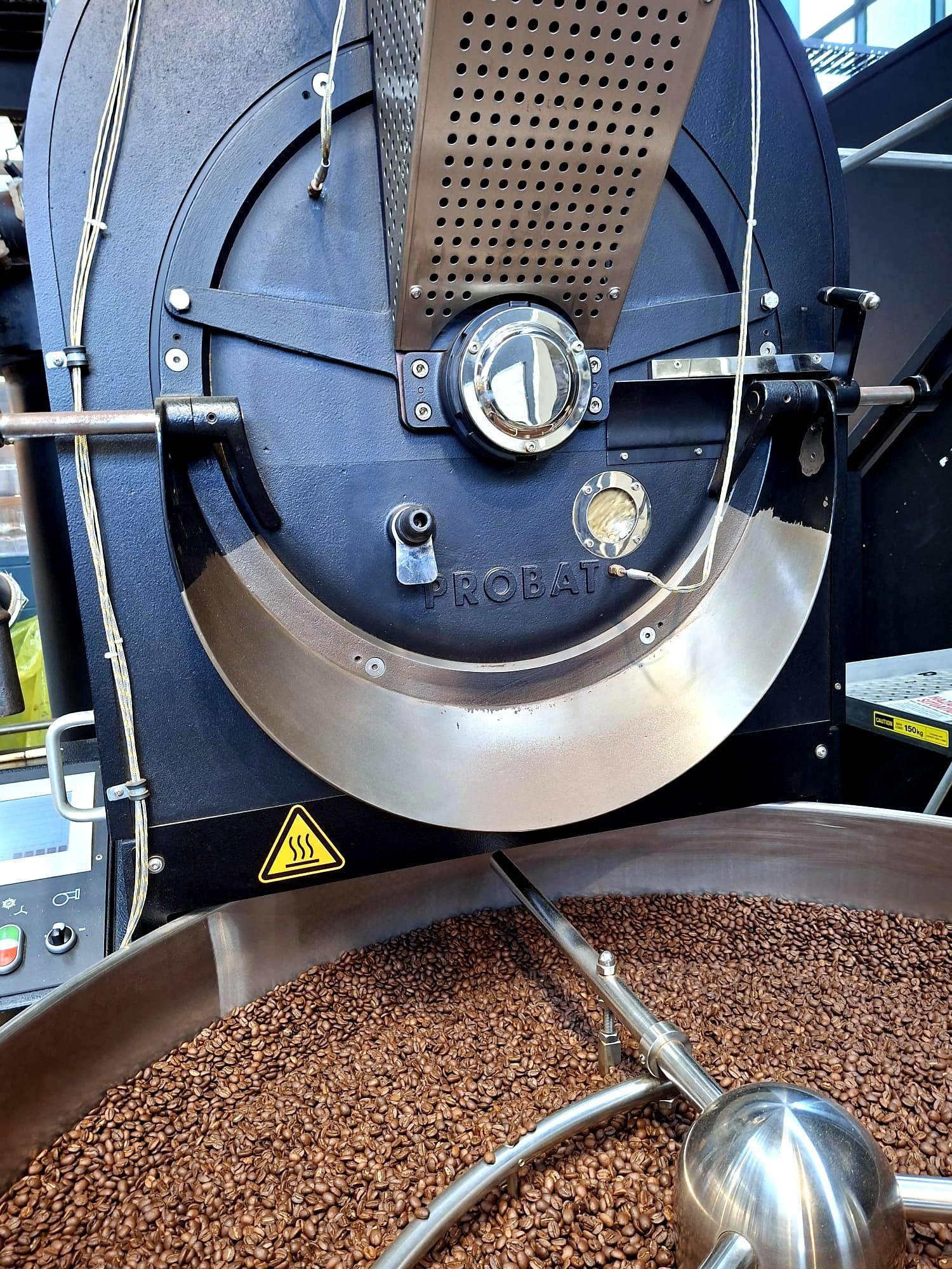 Freshly roasted coffee beans in cooling tray at Common Coffee Roasters