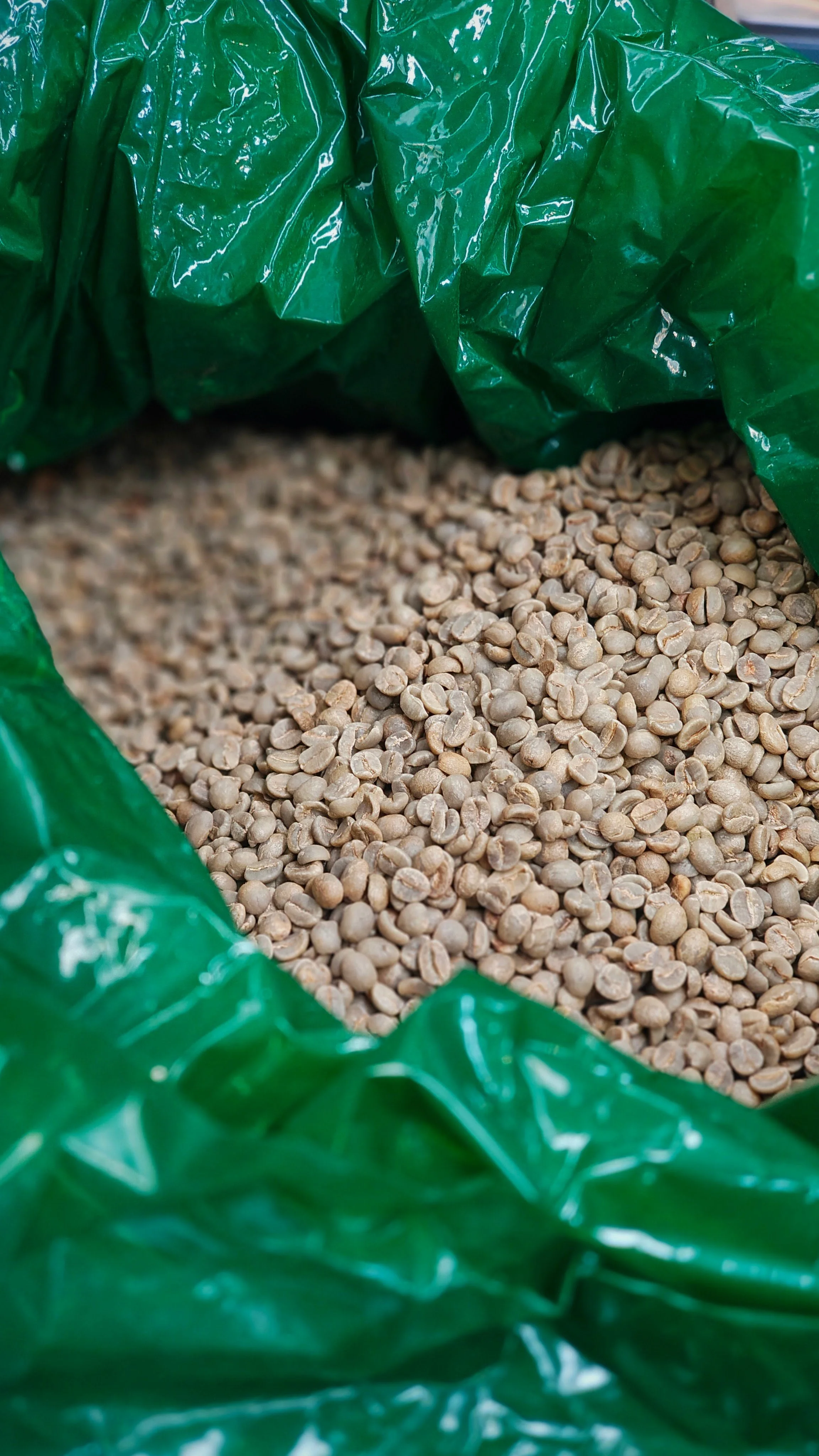 Unroasted green coffee beans in a sack at Common's roastery in Auckland