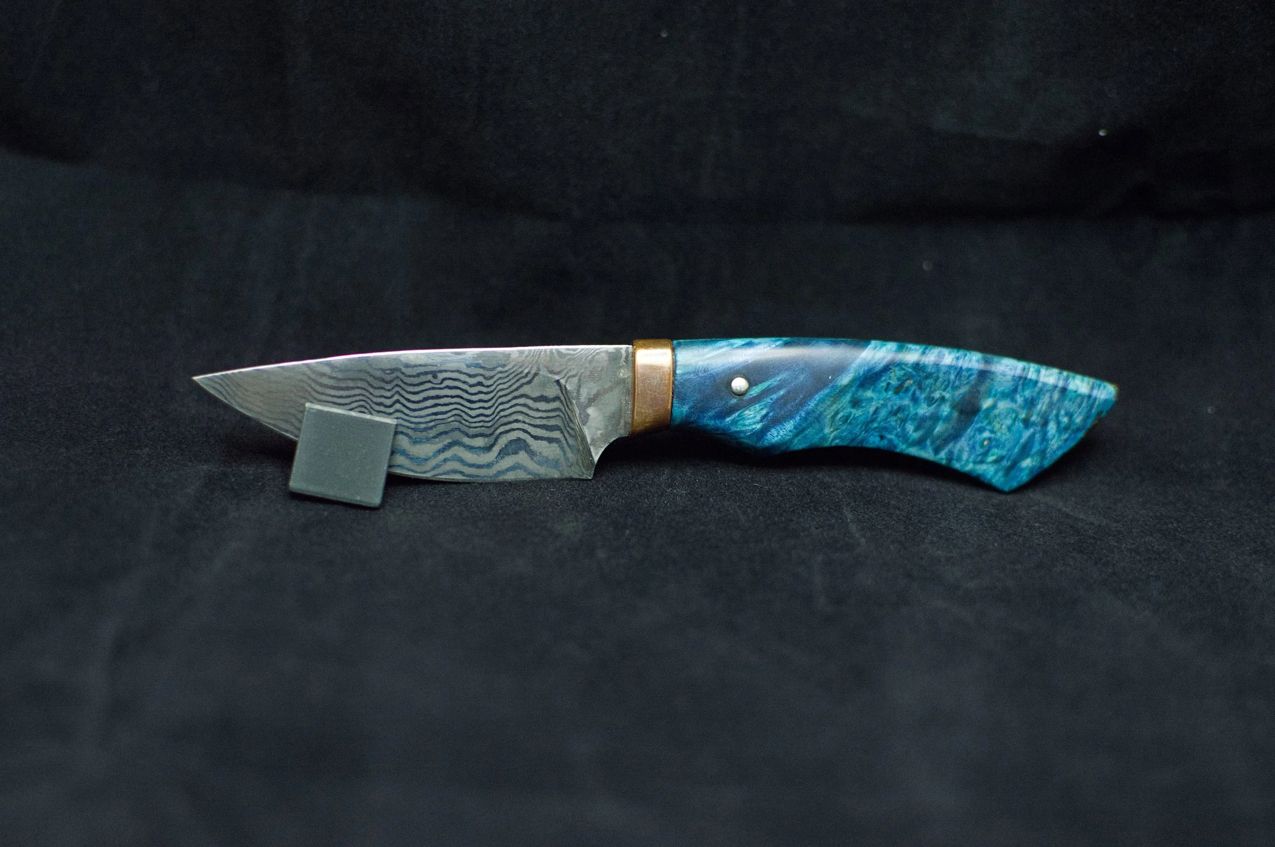 DSC_0207_rs.jpg