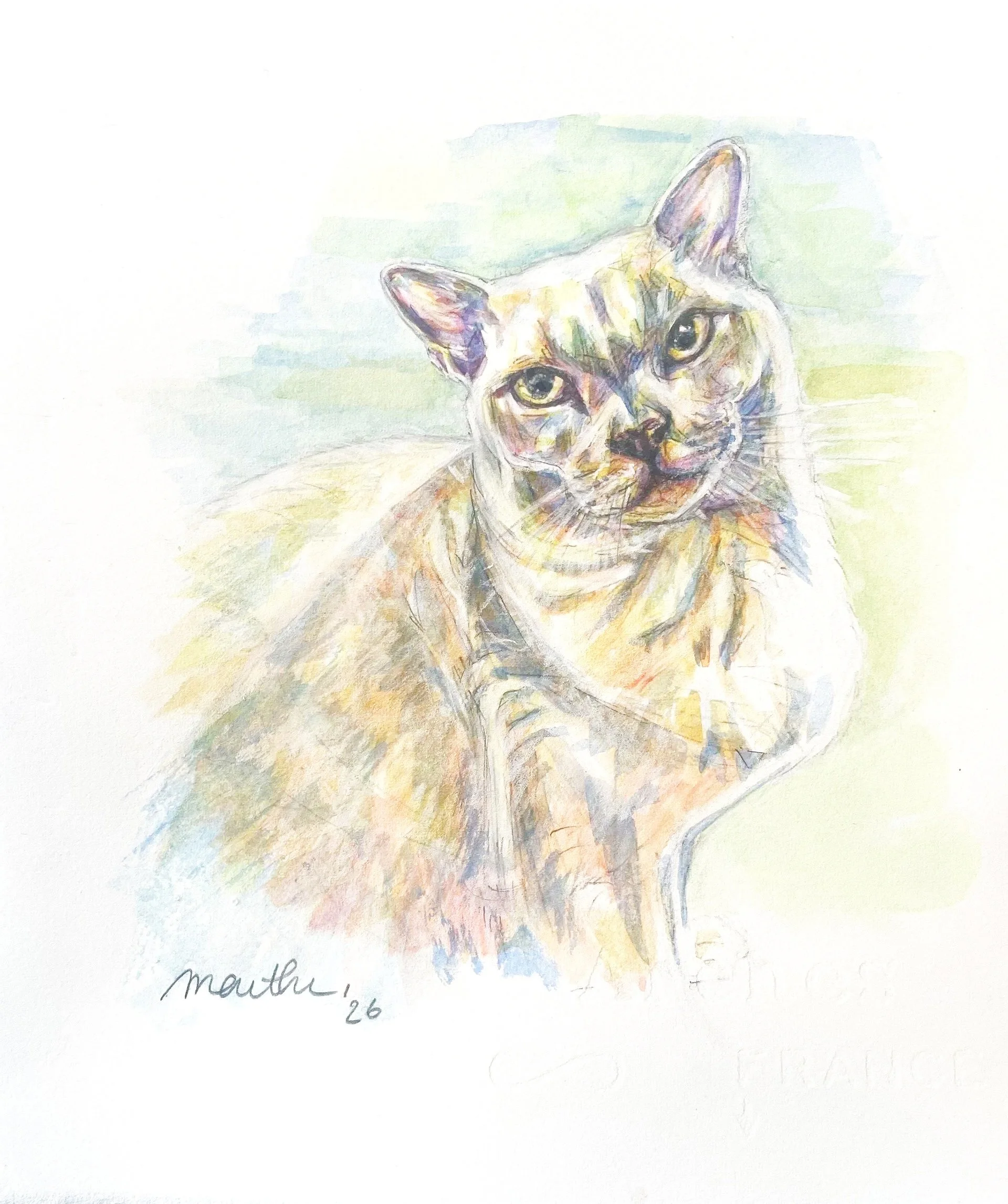 Leela 2026 pet portrait commission