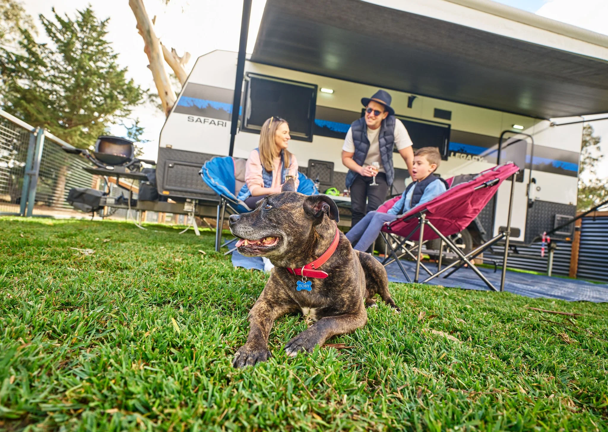 Dog-friendly yards at Acacia Caravan Park