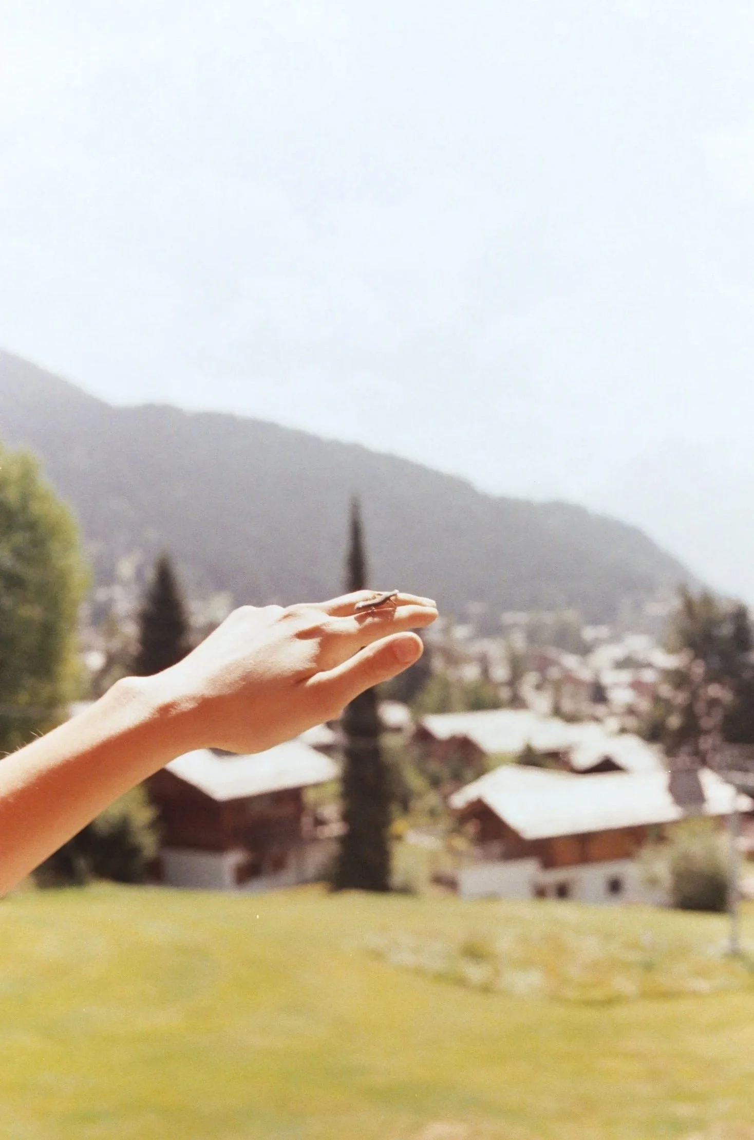 A person's hand with a small lizard on the fingers, held out in front of a scenic mountain village with houses and trees in the background.