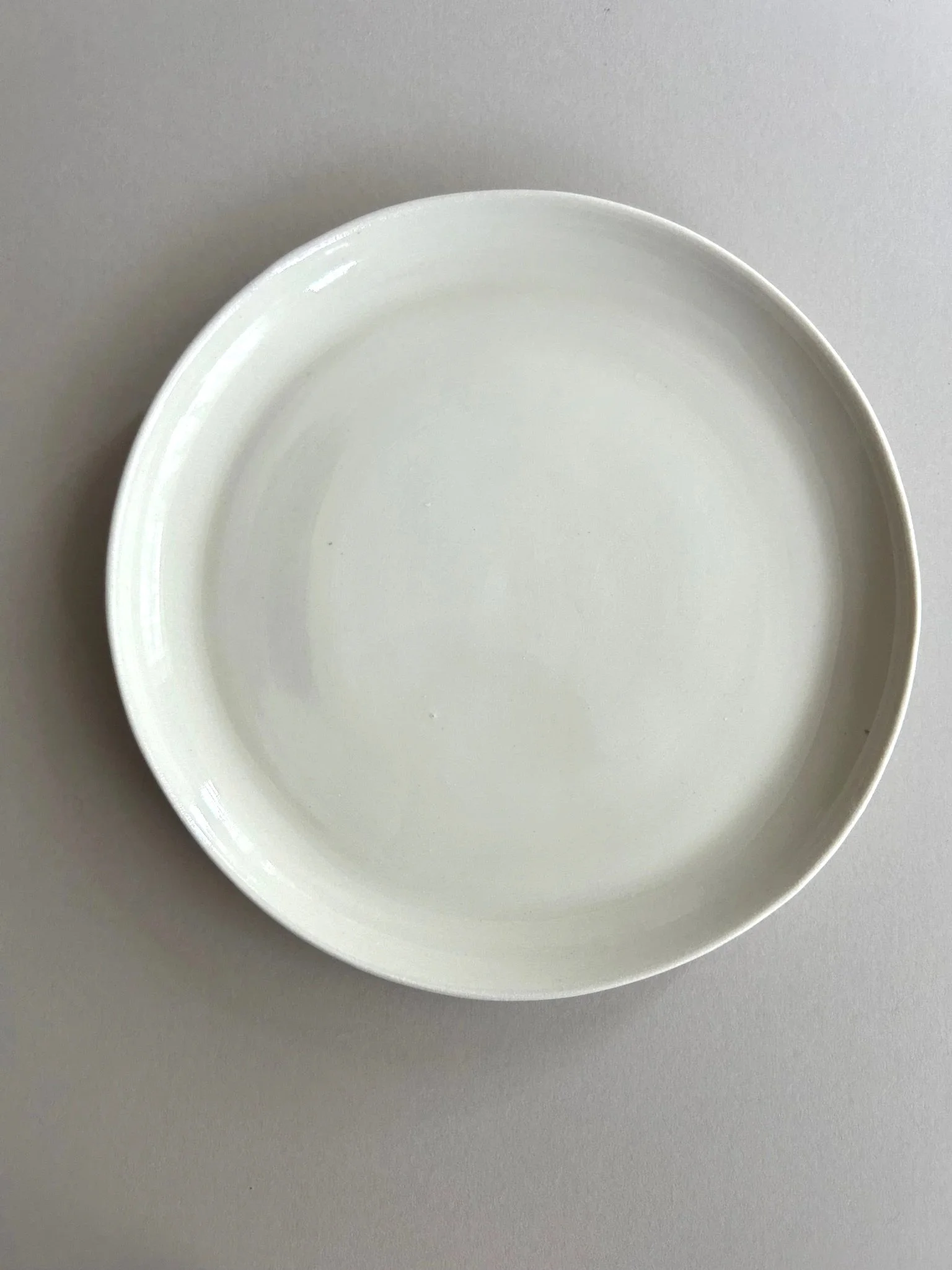 arctic-dinner-set-dinner-plate.jpg