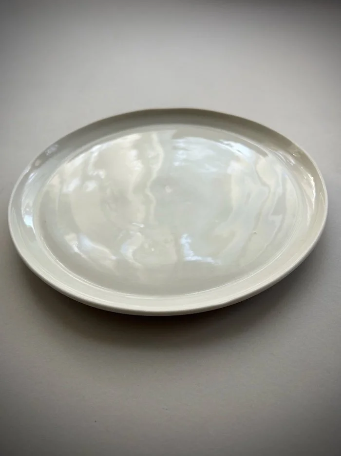 arctic-dinner-plate-3.jpeg