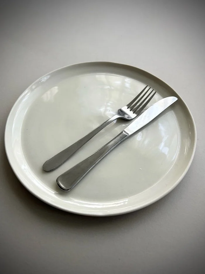 arctic-dinner-plate-2.jpeg