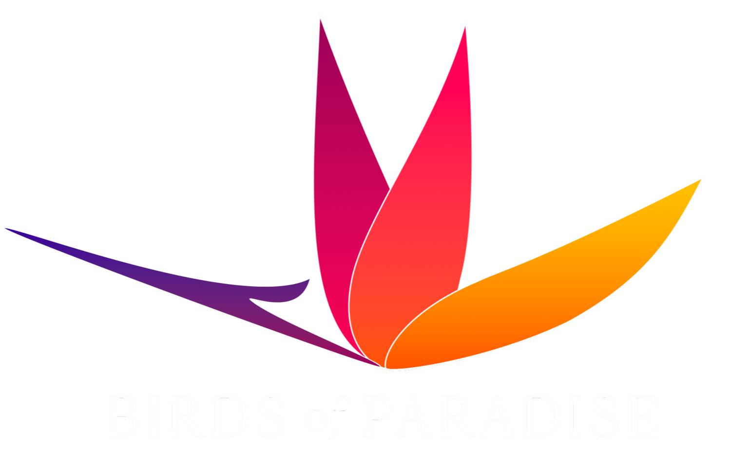 Birds of Paradise