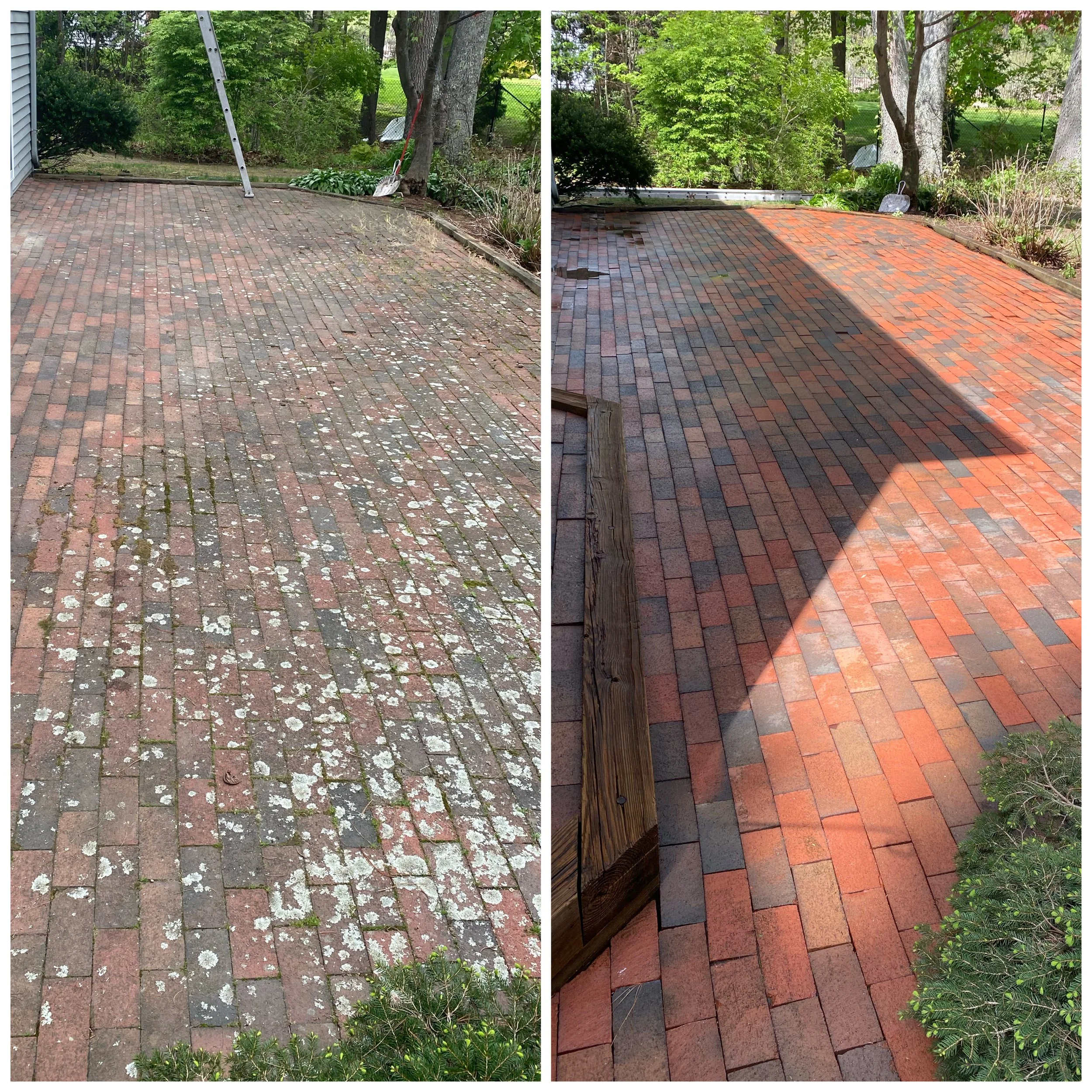 Deck Restoration