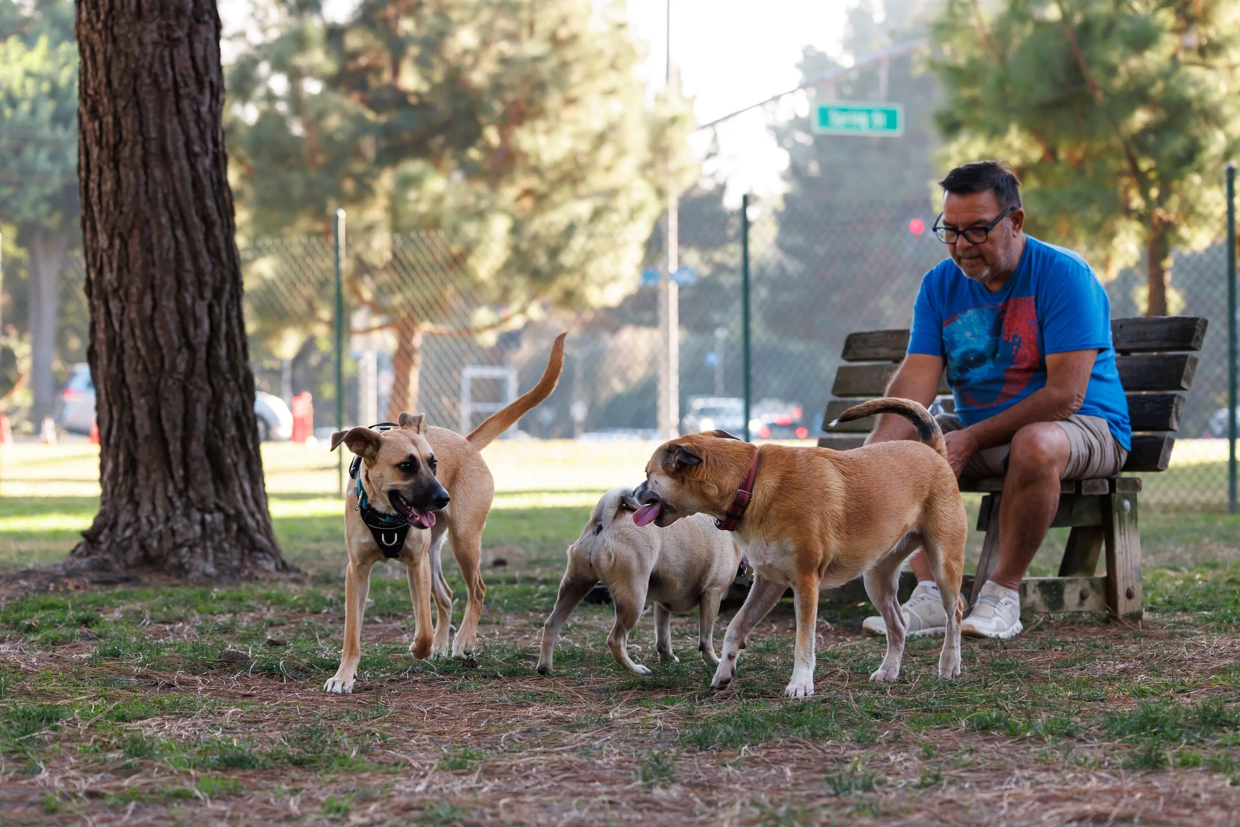 Tavo Gallery - 135.jpg