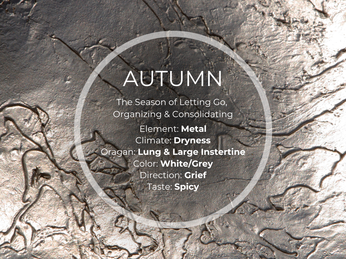 Season:Autumn                    Element:Metal