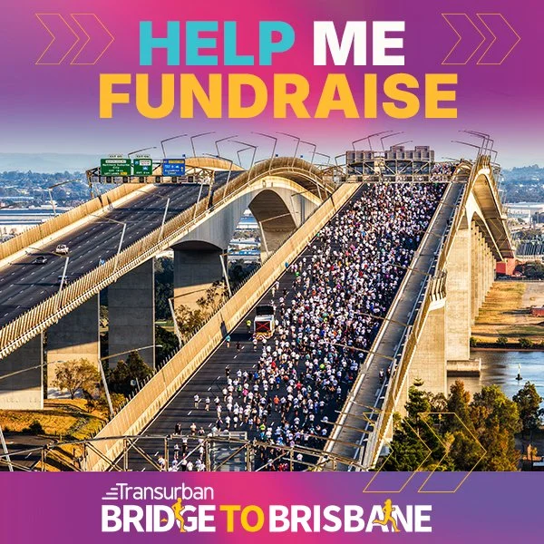 help me fundraise event pictures.jpg