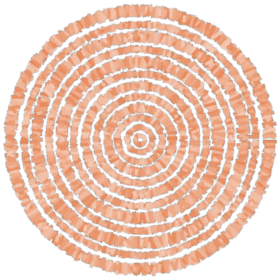 Close-up of a wood log cross-section showing growth rings on a black background.