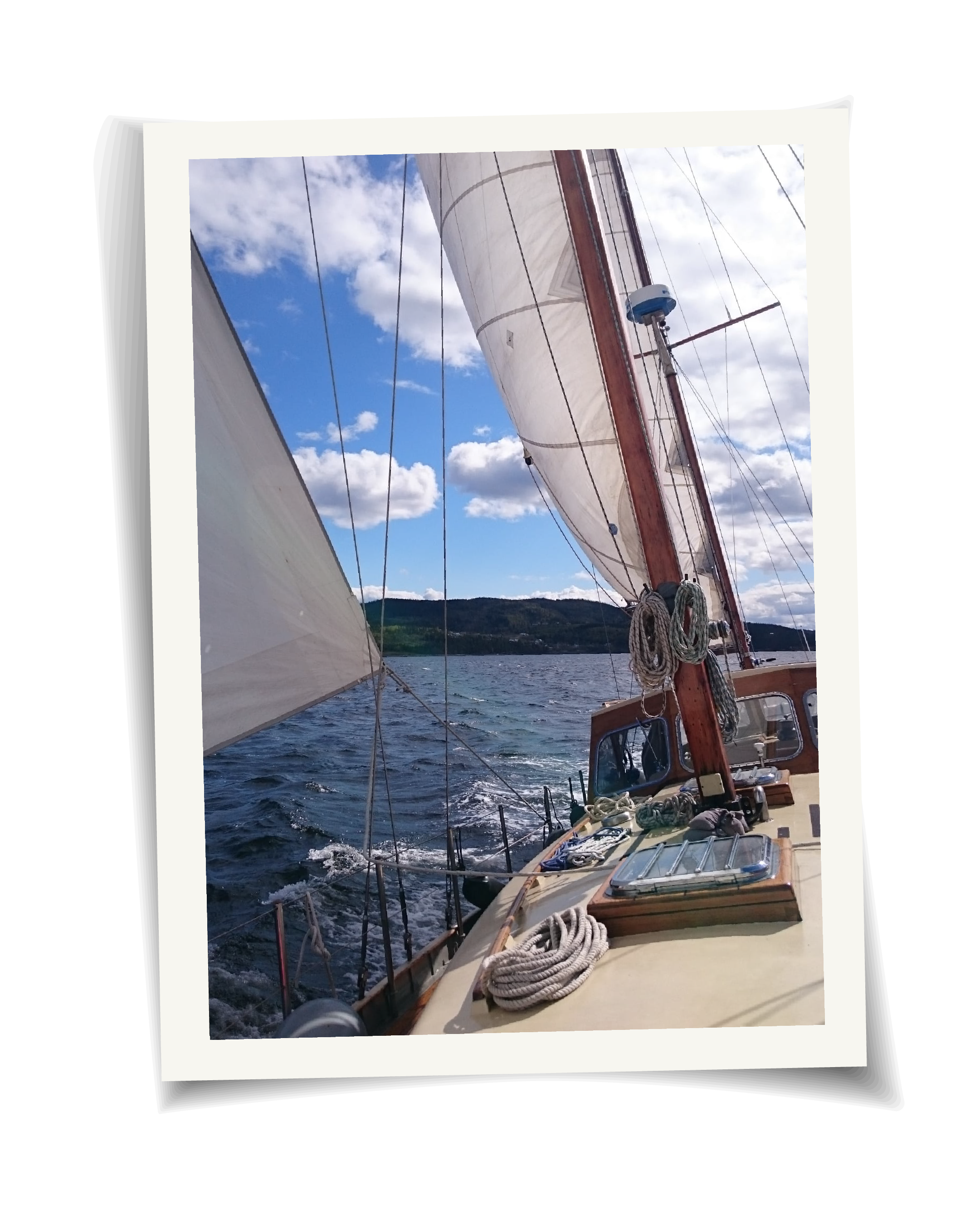 Artboard 1 copy@2x.png