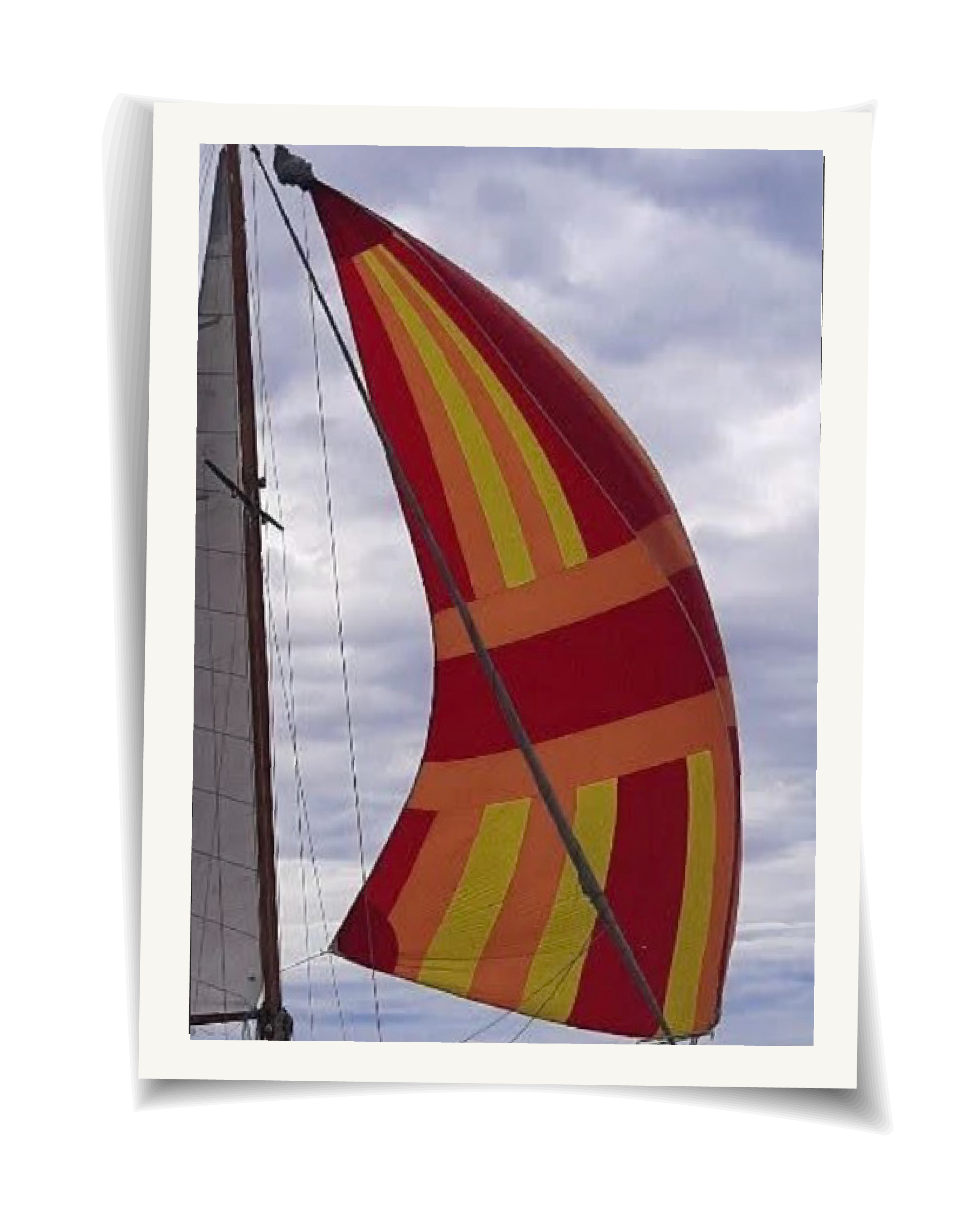 Artboard 1 copy 6@2x.png