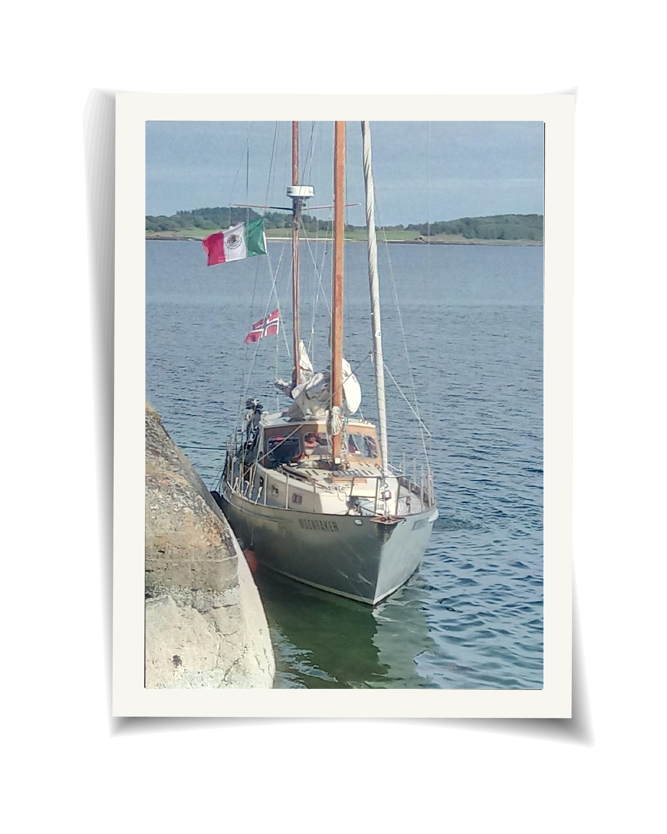 Artboard 1 copy 4@2x.png