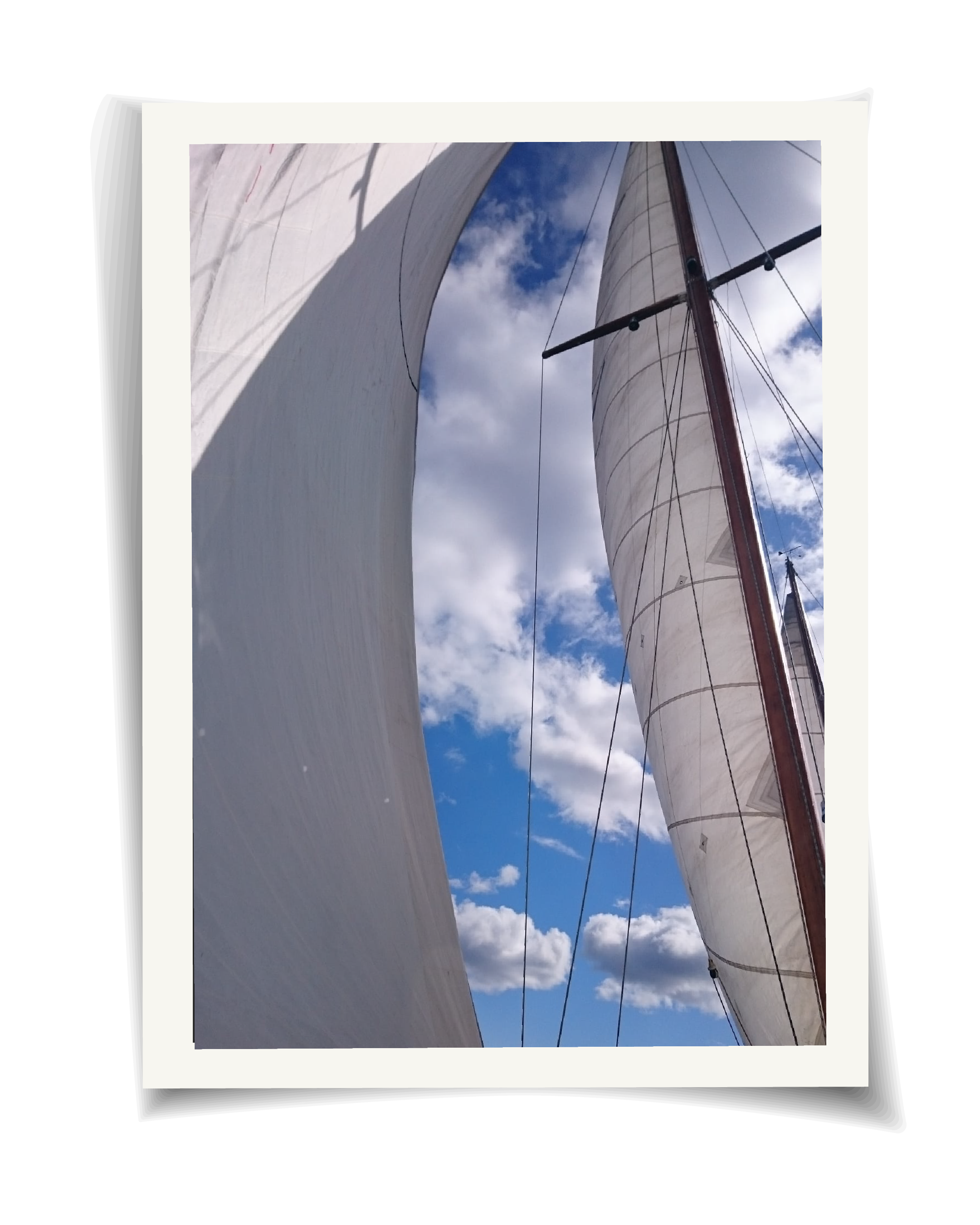 Artboard 1 copy 7@2x.png