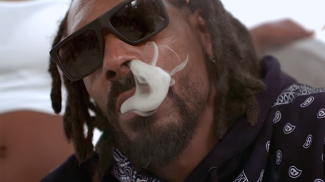 Snoop Dogg - Art of Inspiration