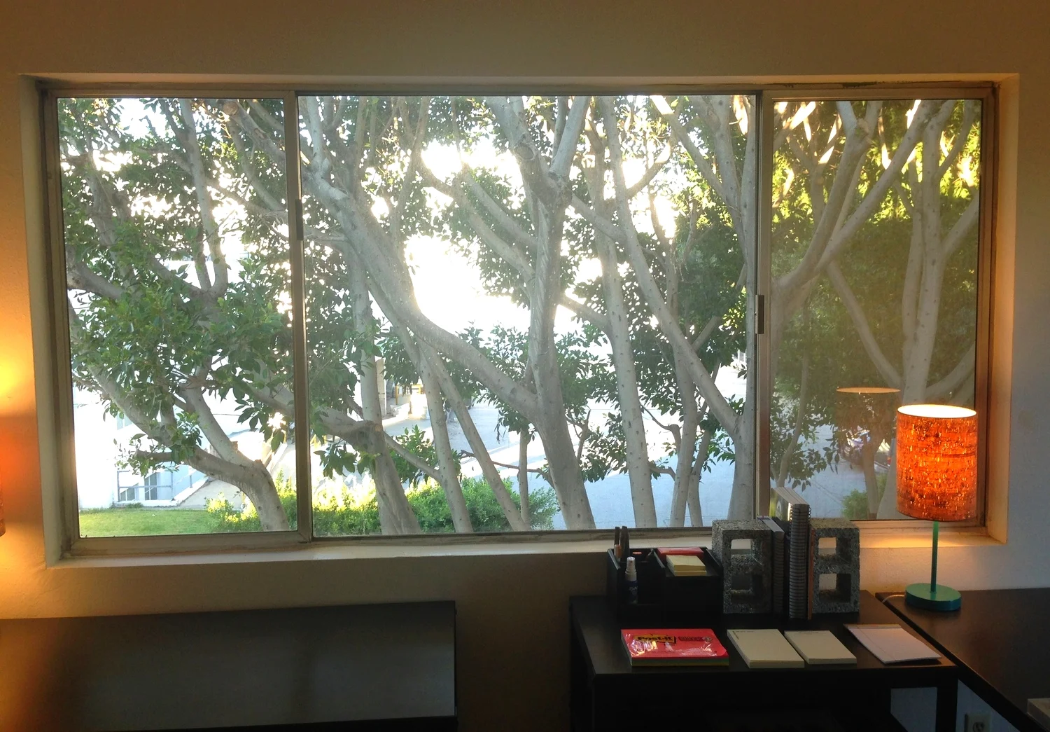 2014-11-08 16.01.02.jpg