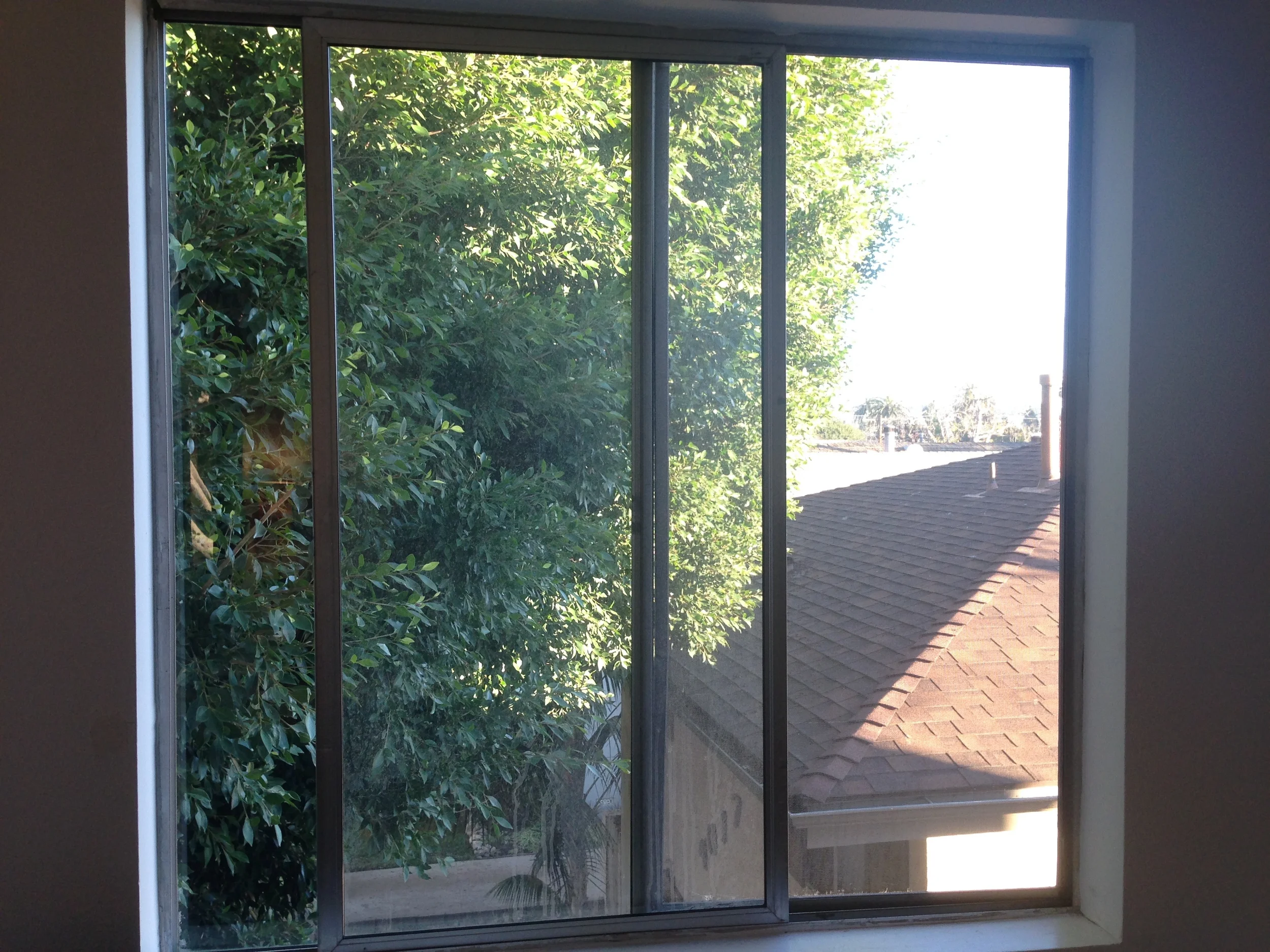 2014-11-08 16.01.17.jpg