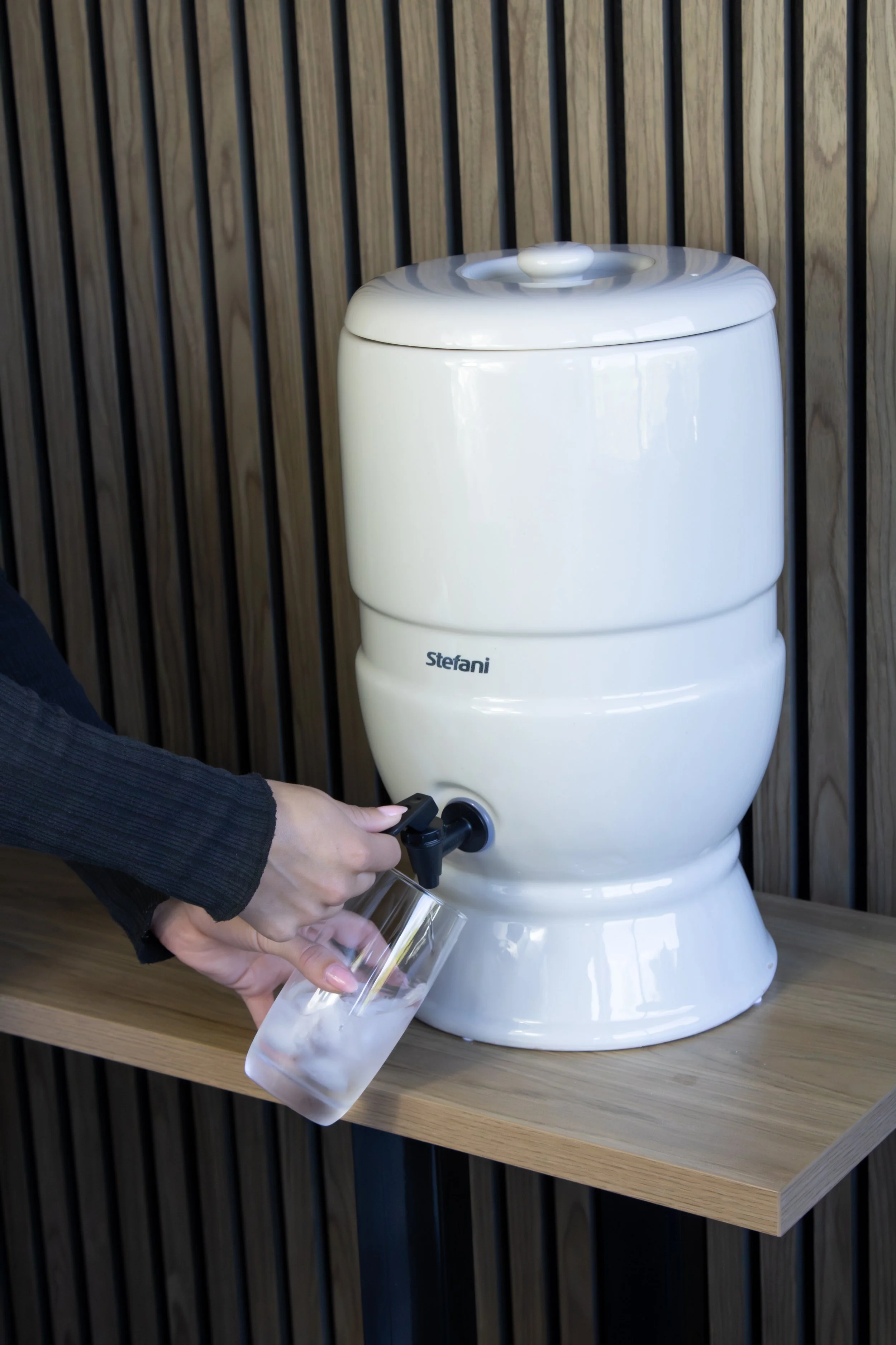 Stefani Porcelain Water Purifier 
