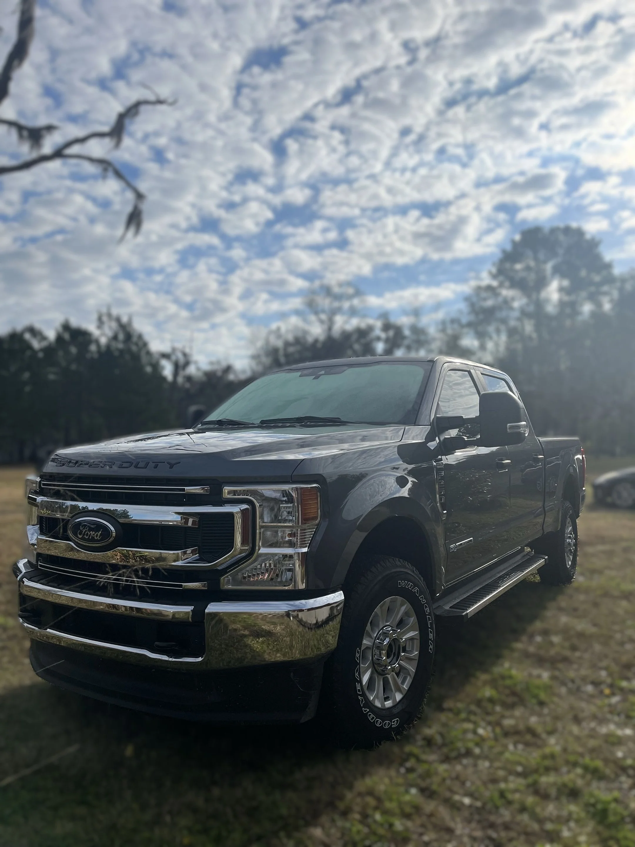 A black Ford Super Duty pickup truck parked on grass under a cloudy sky with trees in the background.