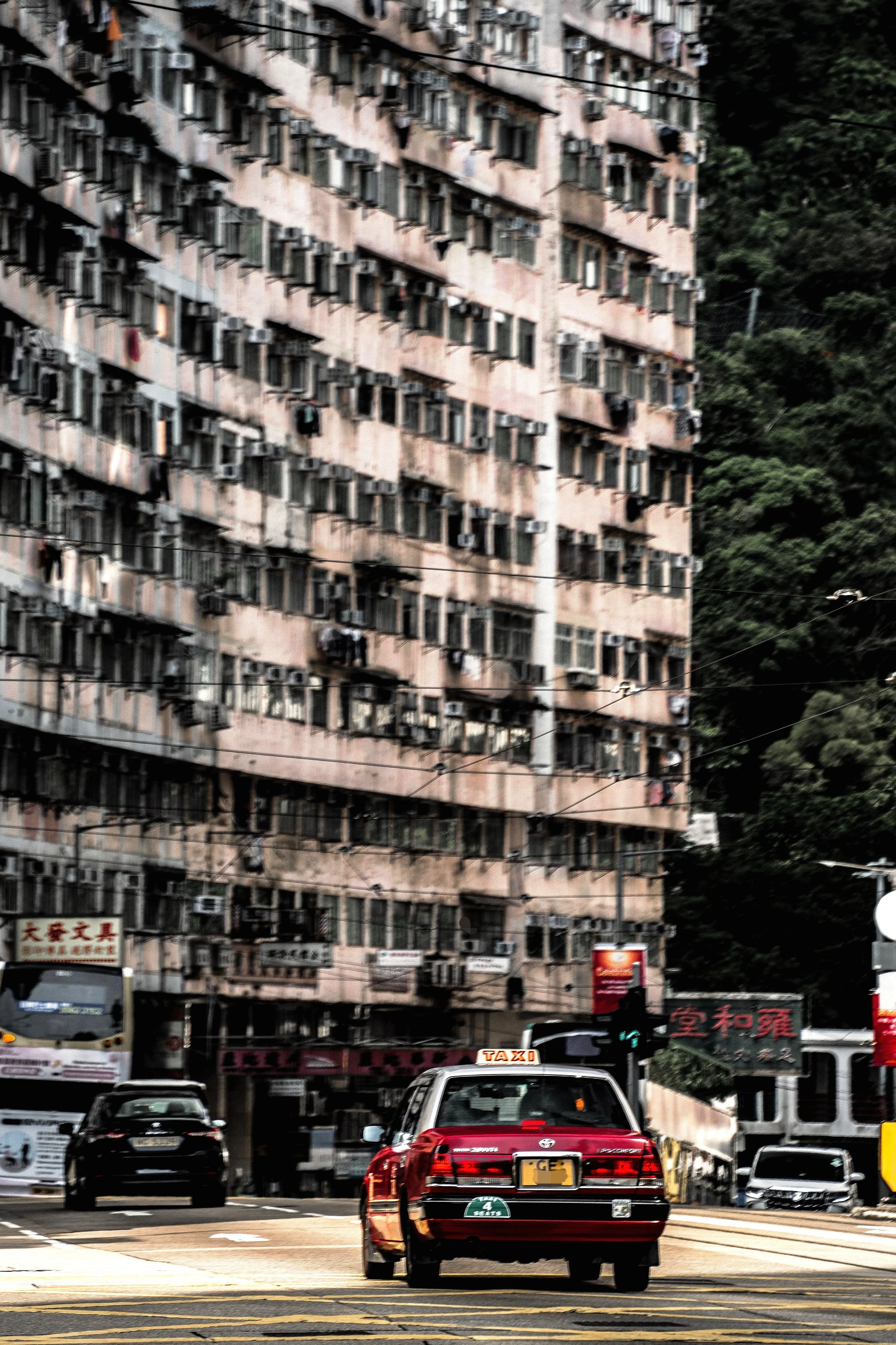 IMG_20231006_155420_edit_3370962732297 2.JPG