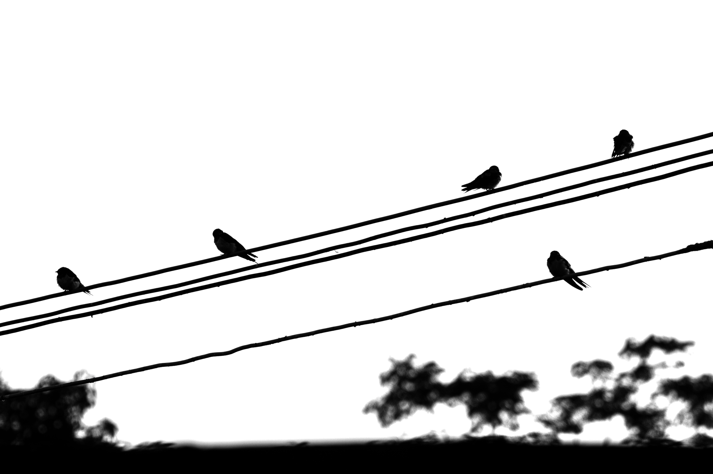 mmexport1674358062549_edit_265493284560529 2.PNG