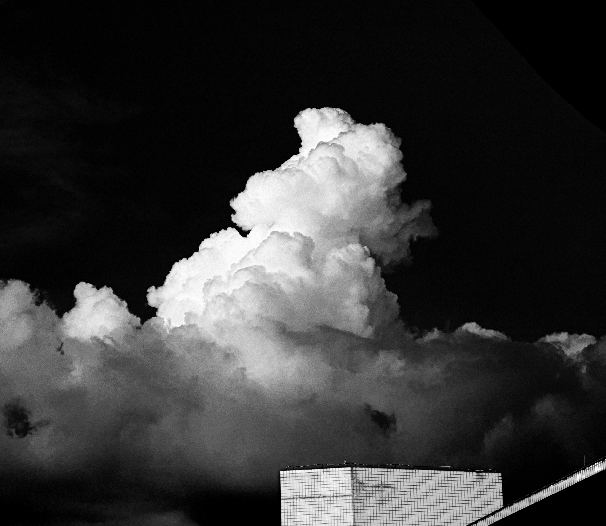 IMG_20230609_123611 2.PNG