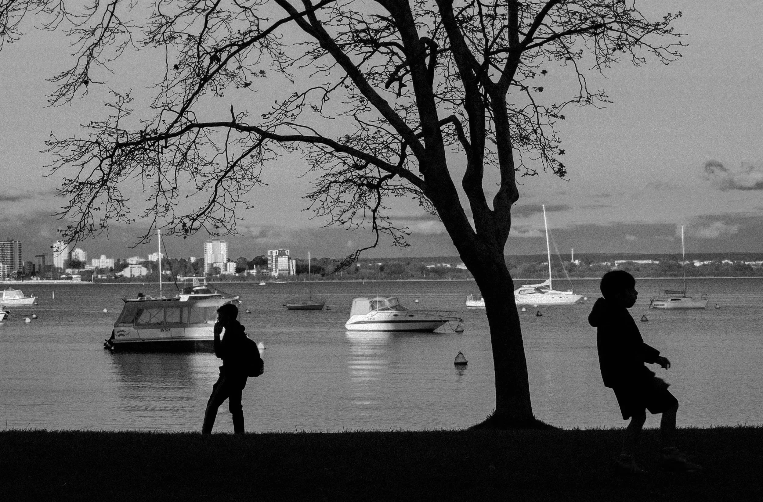 Silhouettes of two people near a tree on a waterfront during sunset, with boats on the water and a city skyline in the background.